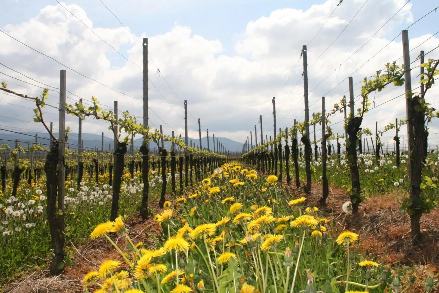 Activities in Atrium Hotel Baden