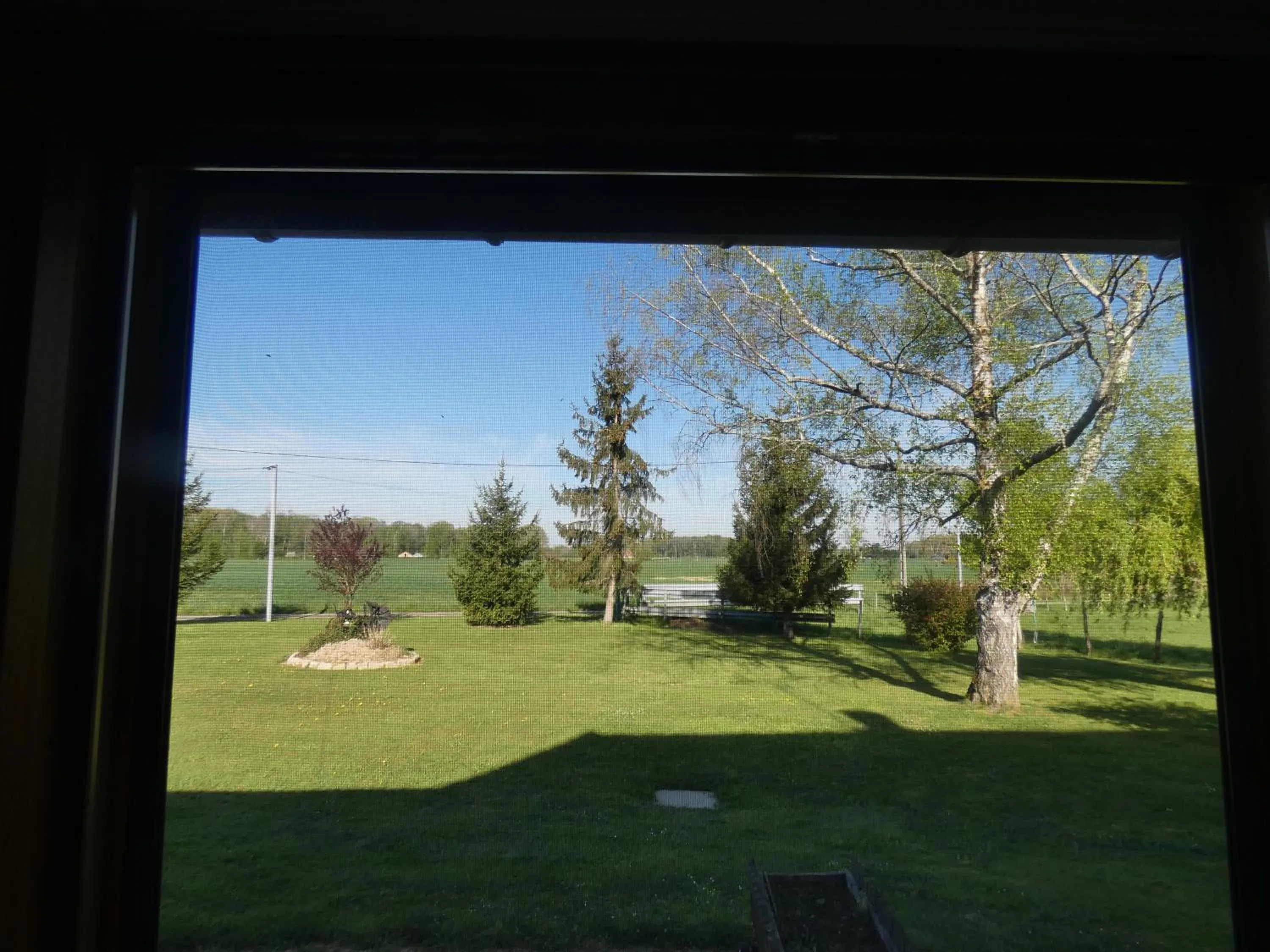 Garden in La mare aux grenouilles