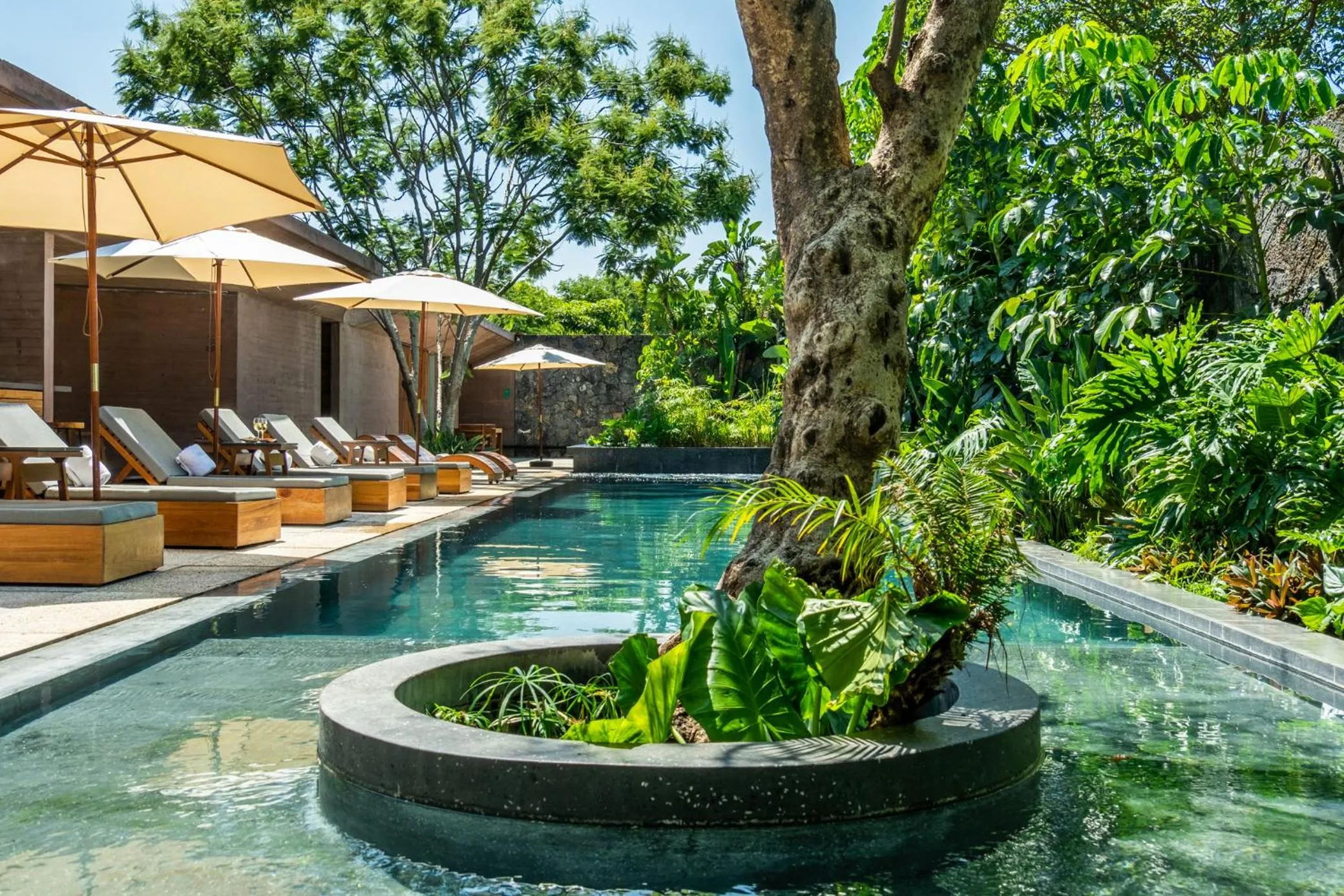 Swimming pool in Casa de Agua
