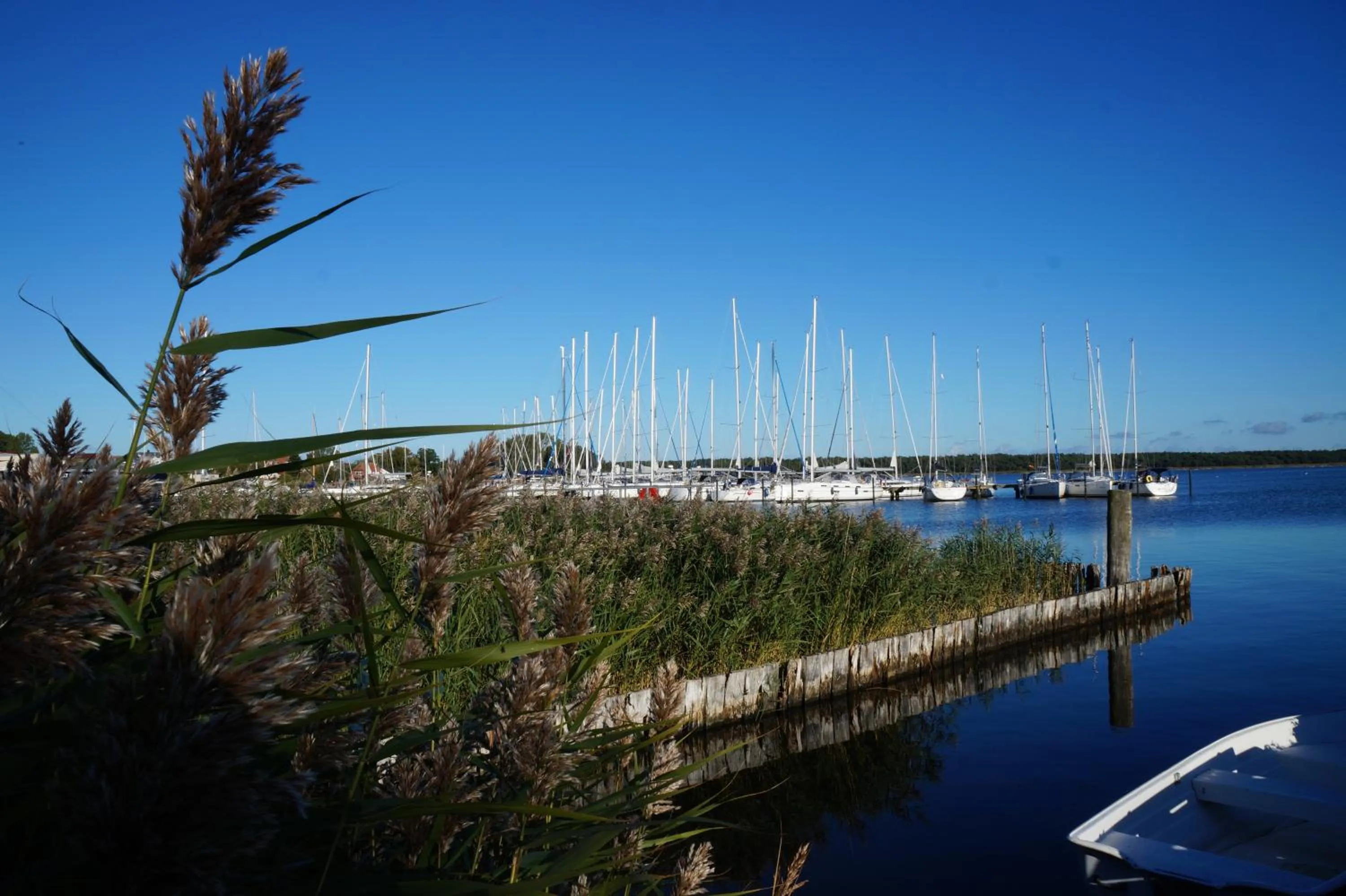 View (from property/room) in Hotel- & Ferienanlage Kapitäns-Häuser Breege