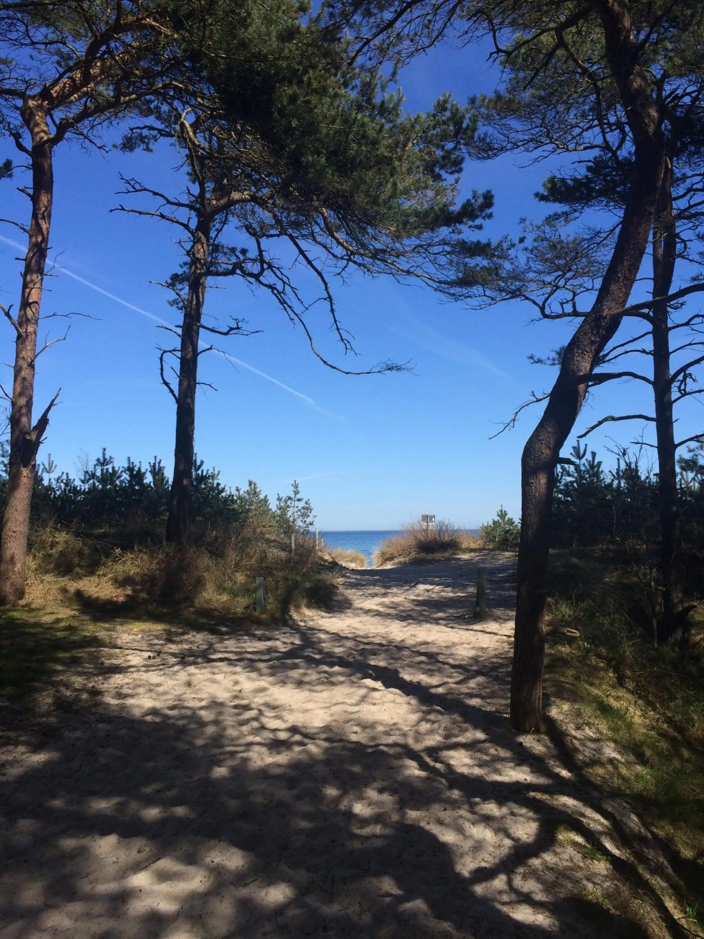 Off site in Hotel- & Ferienanlage Kapitäns-Häuser Breege