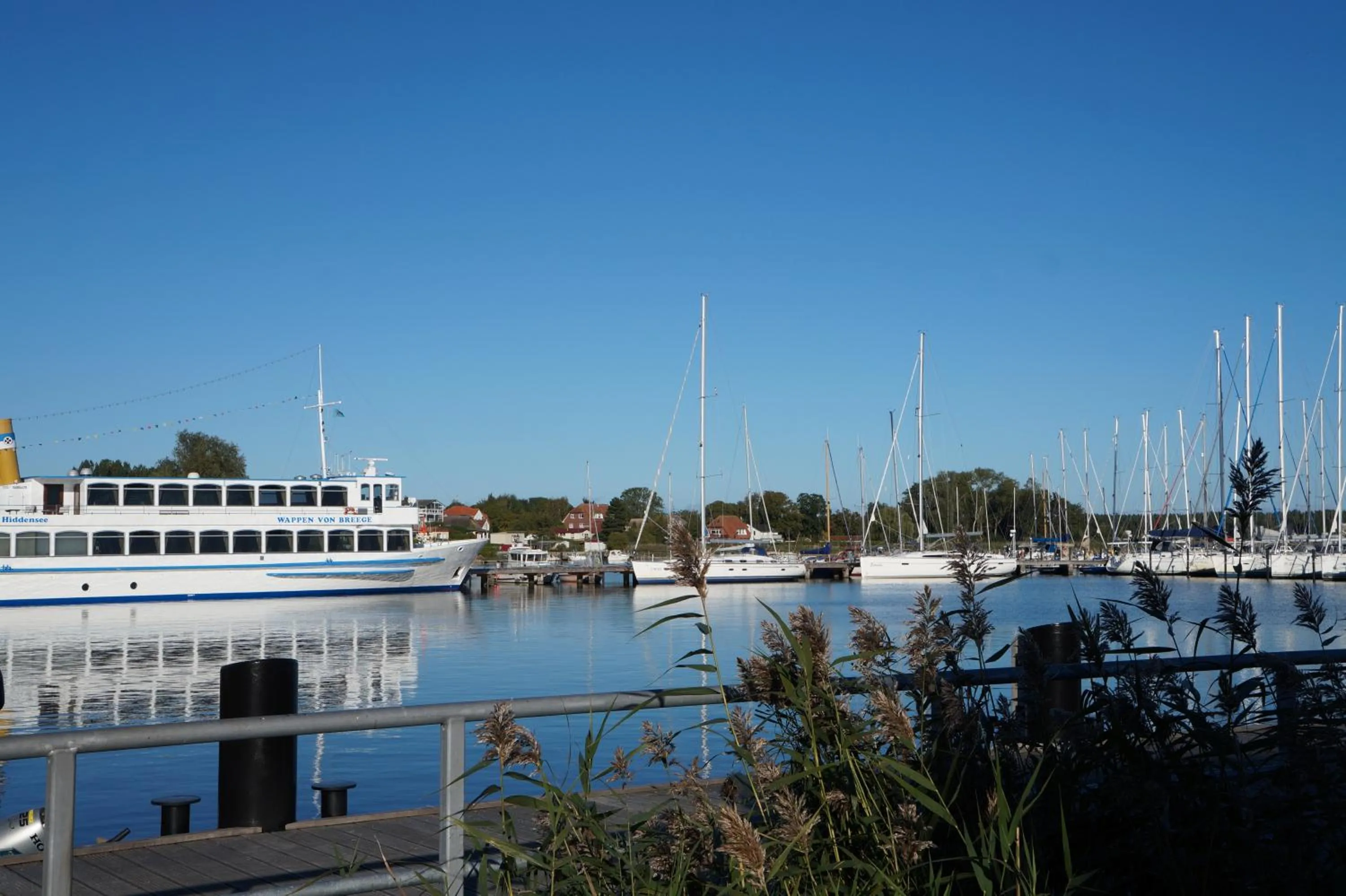 View (from property/room) in Hotel- & Ferienanlage Kapitäns-Häuser Breege