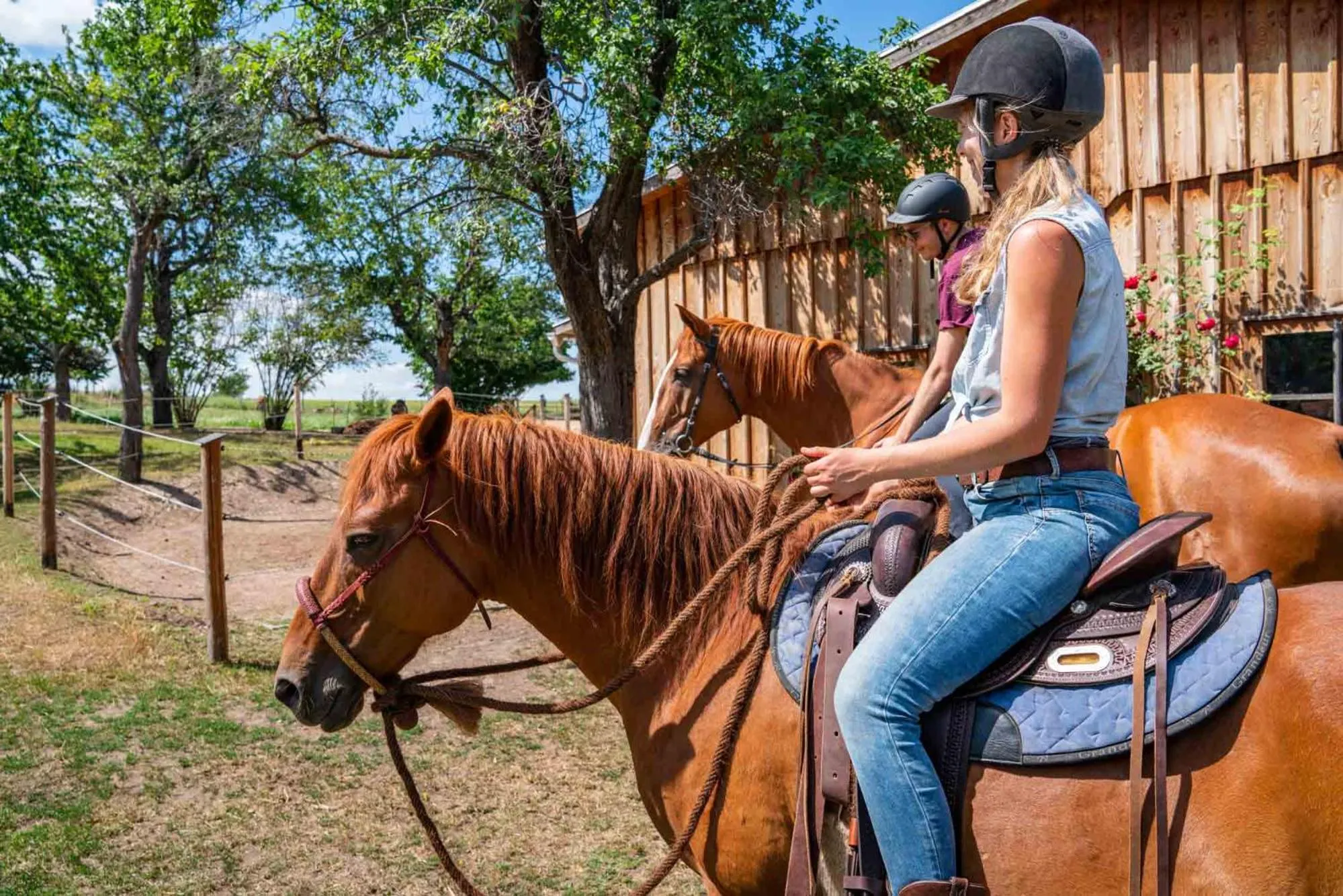 Garden in Landhotel Gut Wildberg mit Sauna