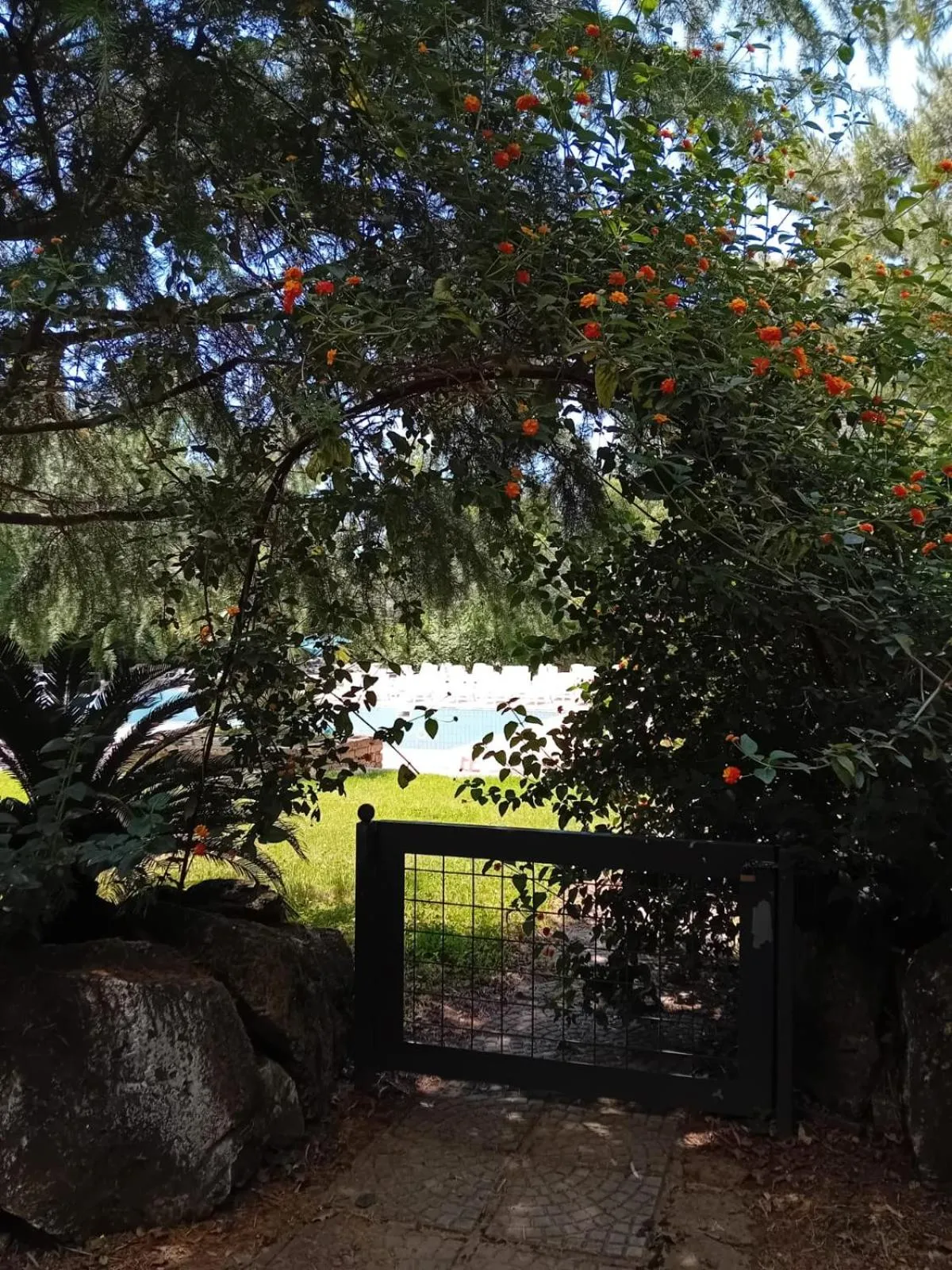 Swimming pool in Casale Rurale