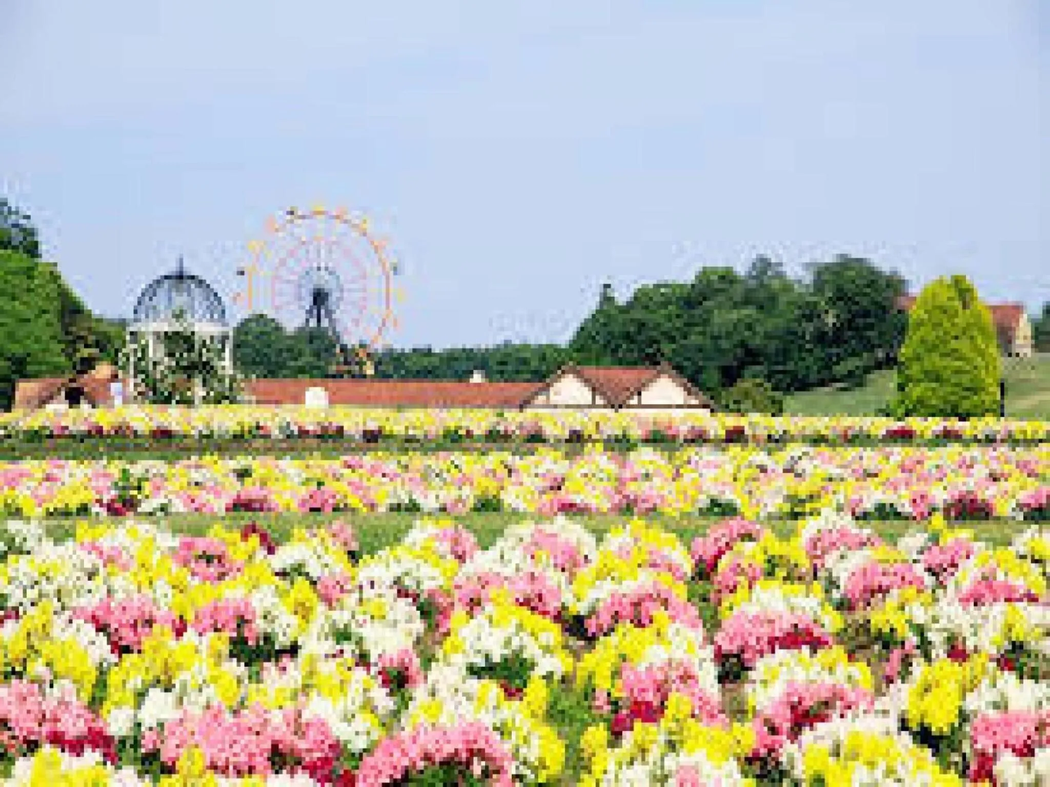 Hotel Royal Garden Kisarazu / Vacation STAY 72221