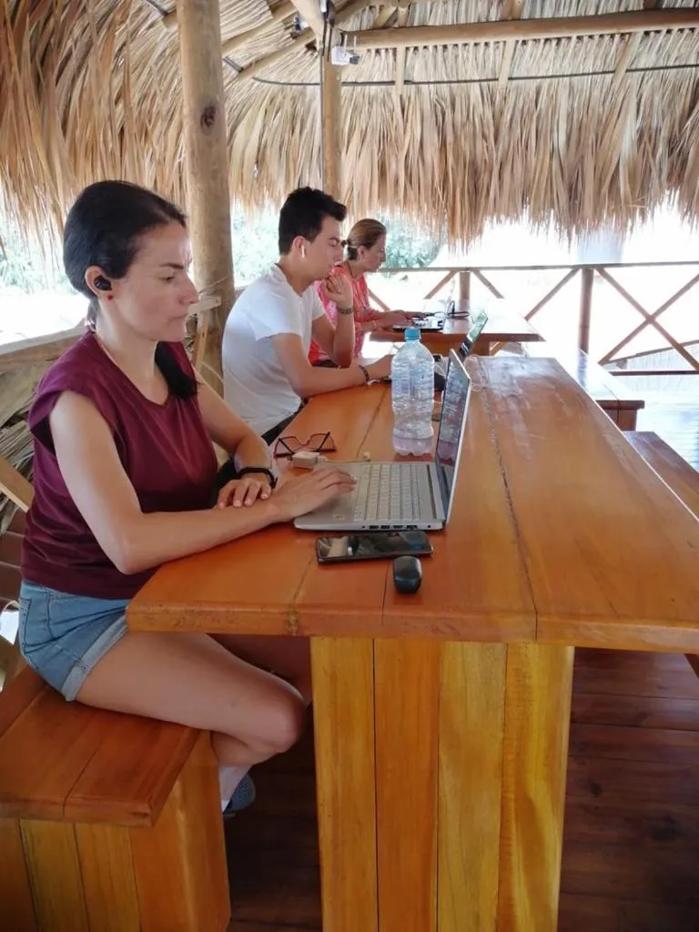 group of guests in Palomino Sunrise