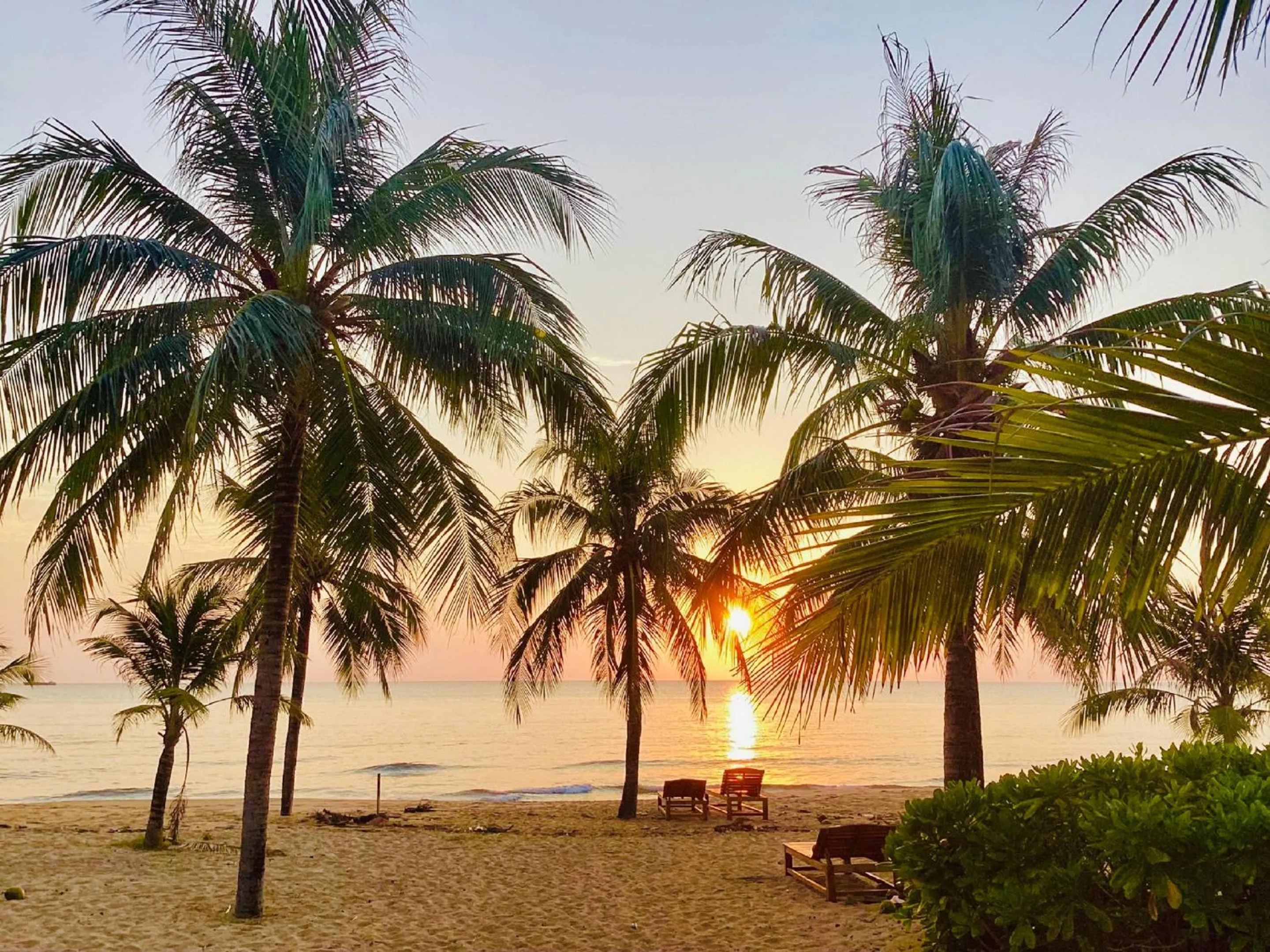 Natural landscape in Sonaga Beach Resort & Villas Phu Quoc