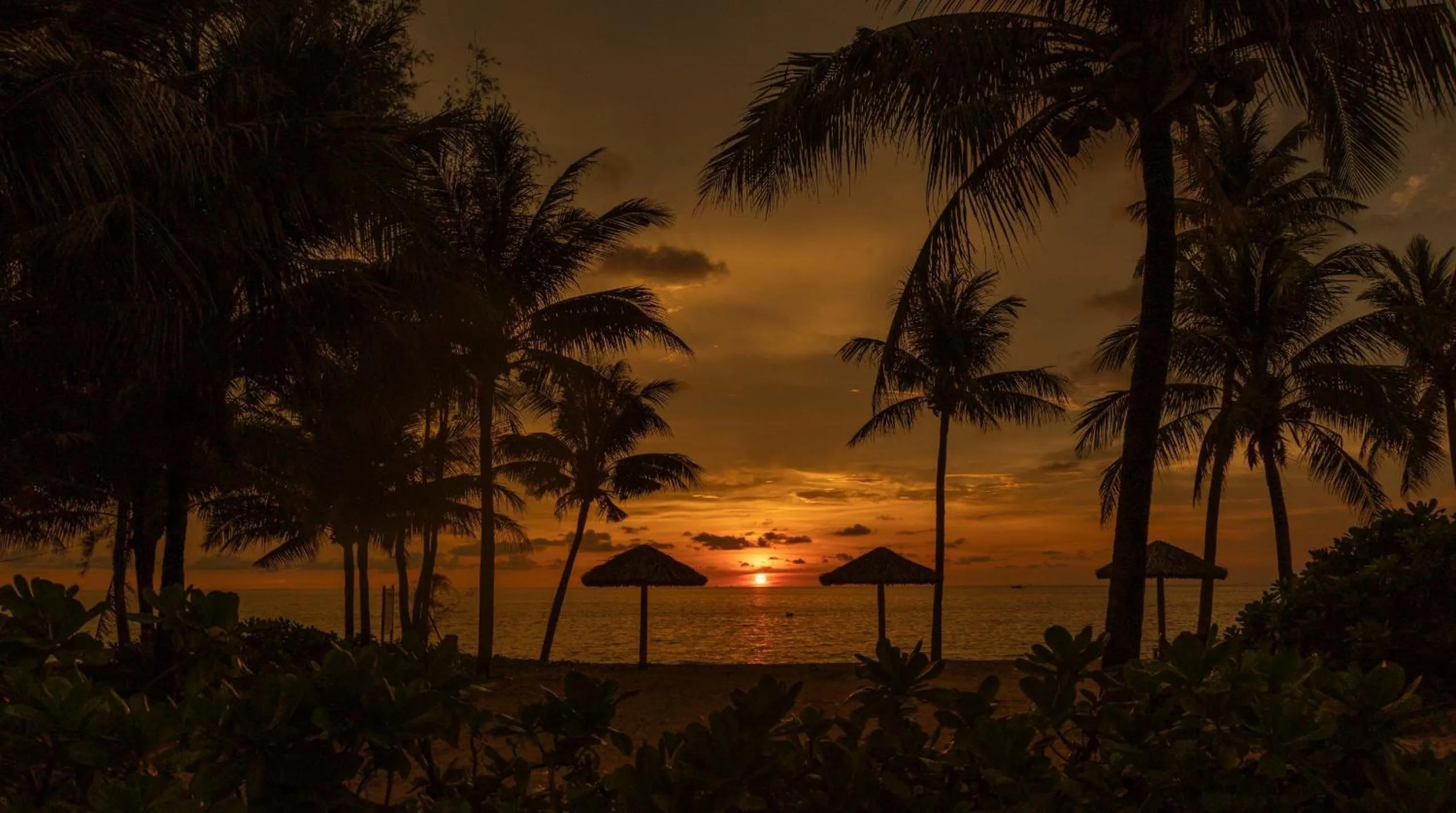Beach in Sonaga Beach Resort & Villas Phu Quoc