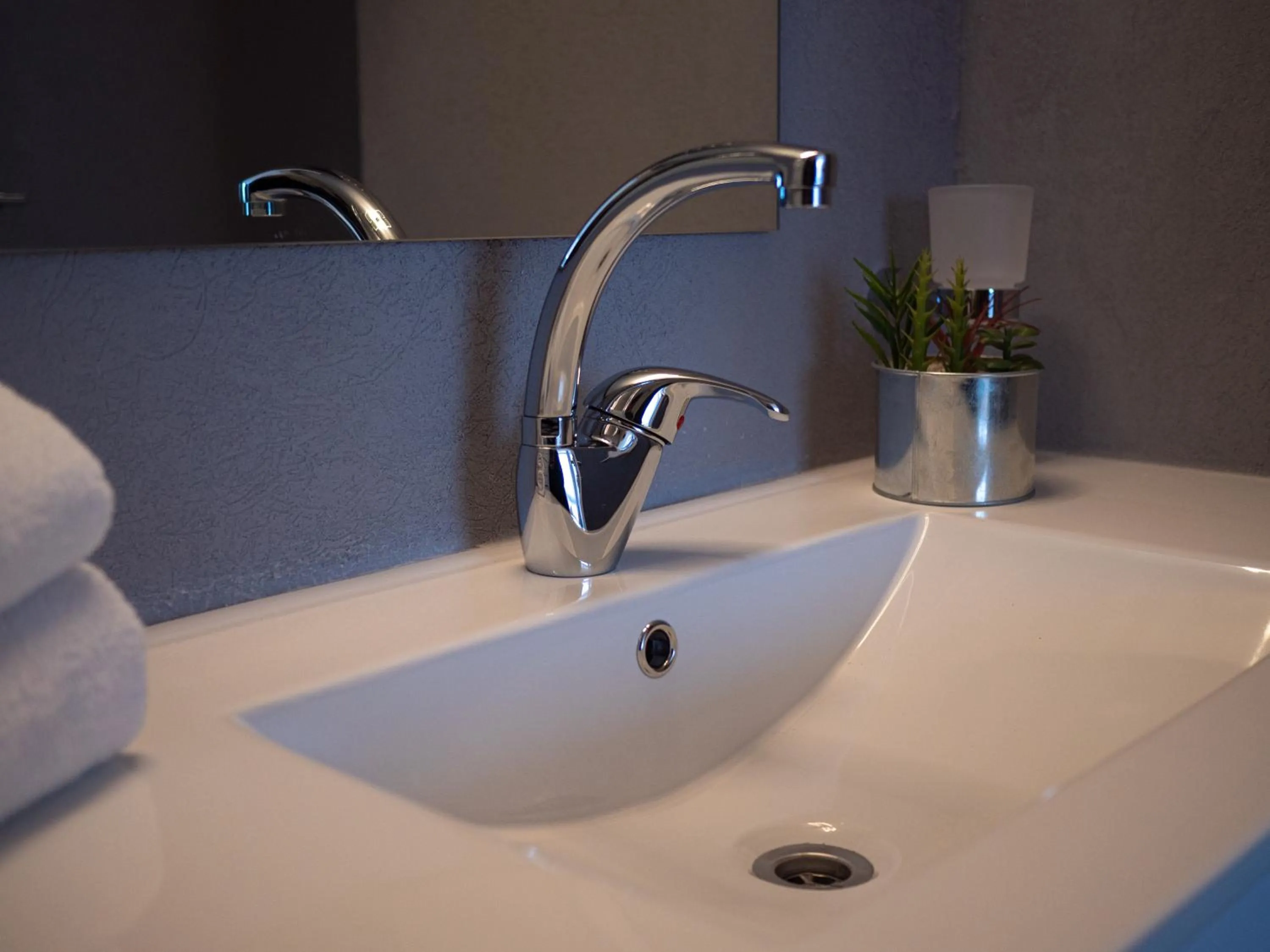 Shower, Bathroom in Hermitage Hotel