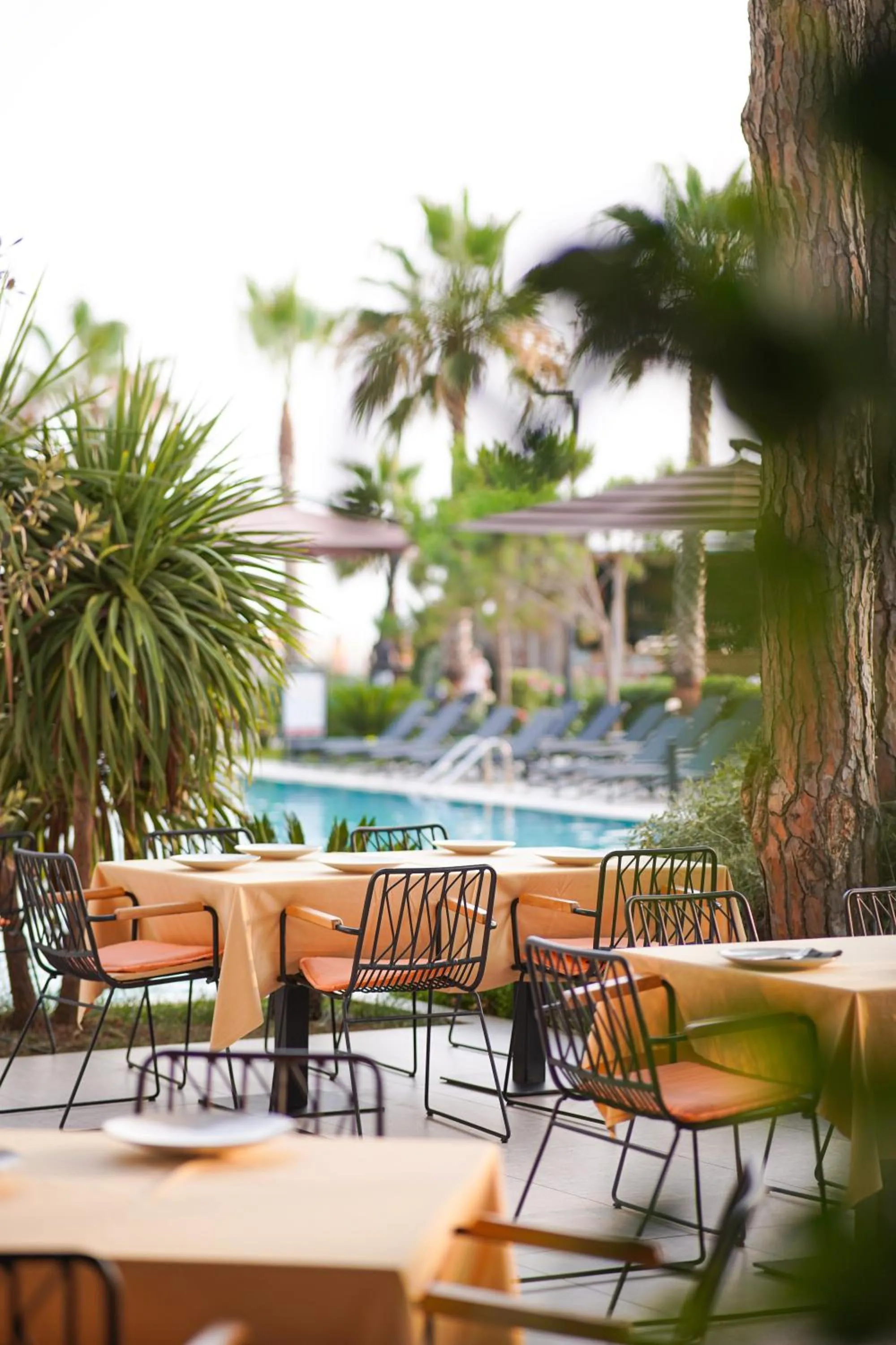 Restaurant/places to eat in Royal G Max