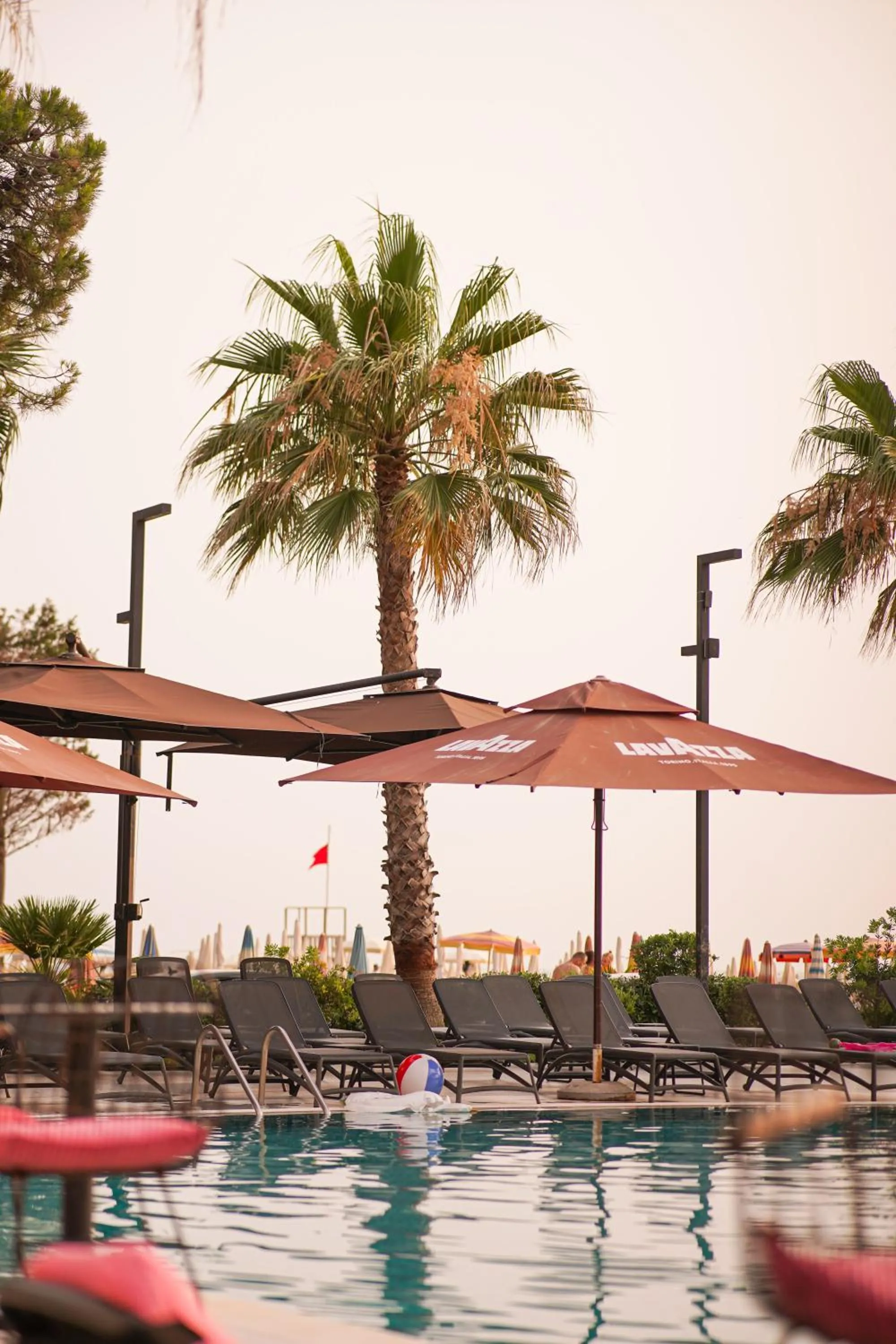 Summer in Royal G Max