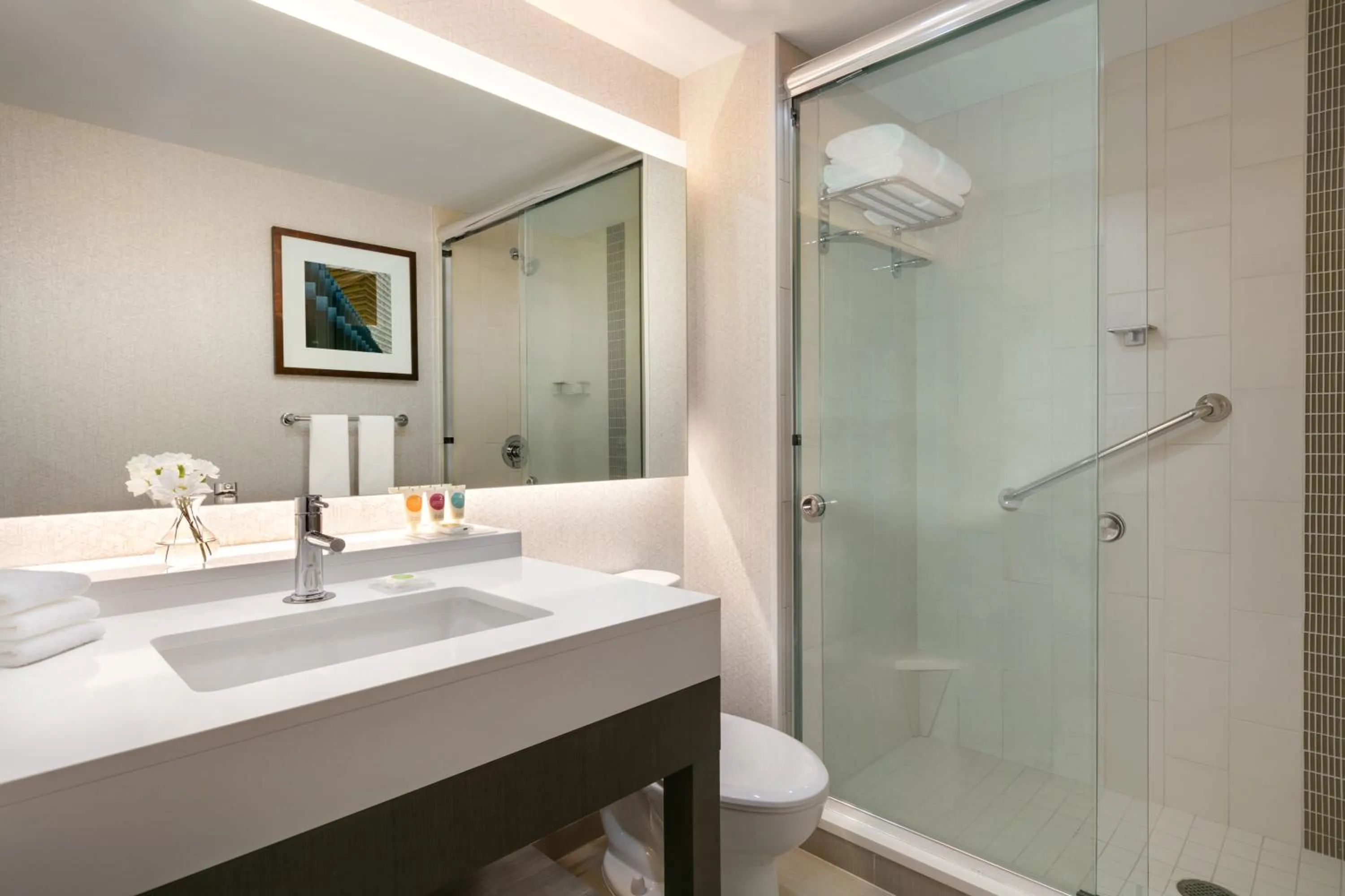 Shower in Hyatt Place Fort Lee/George Washington Bridge