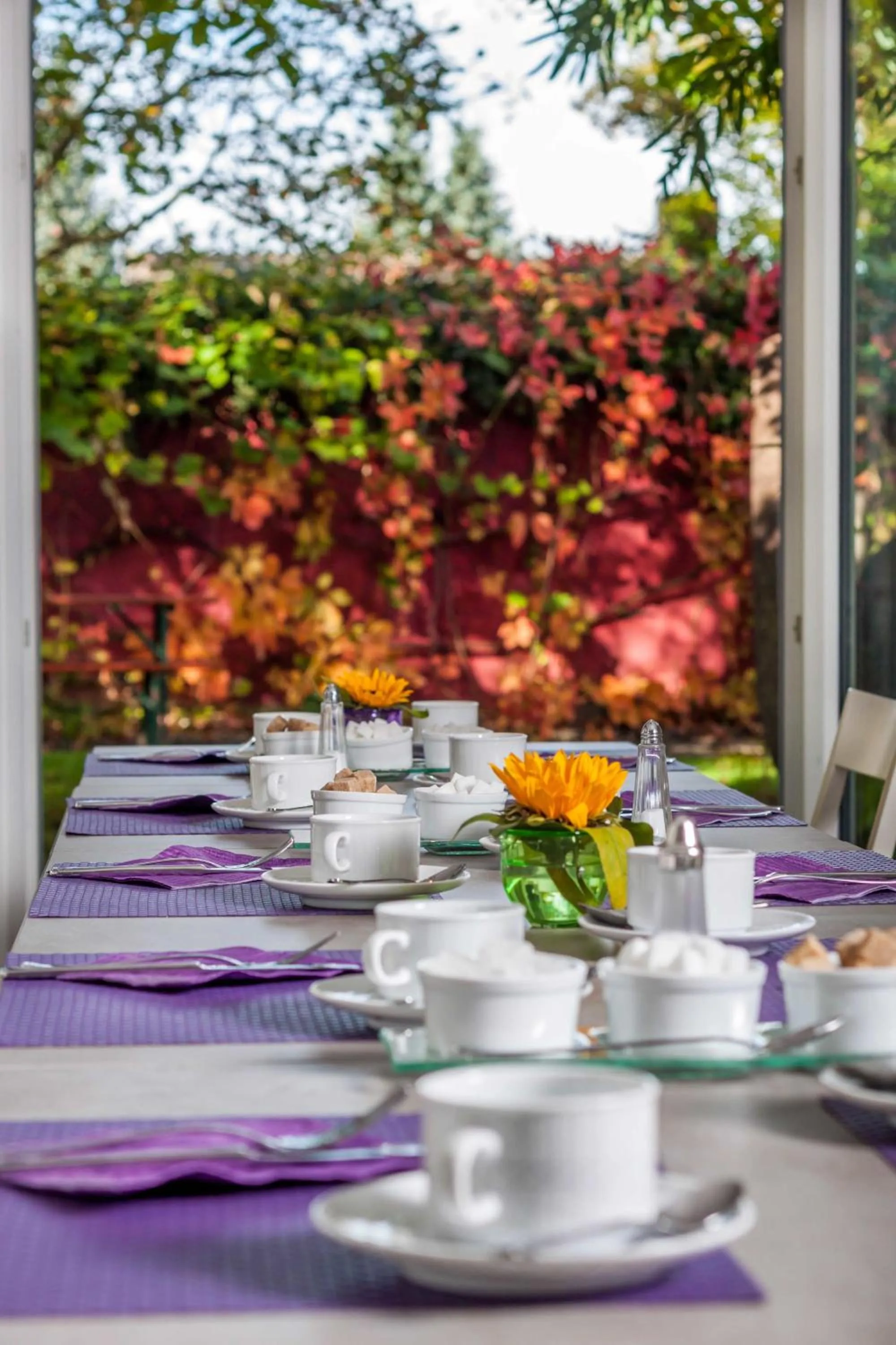 Balcony/Terrace in Hotel ZweiLinden Meckenheim Bonn