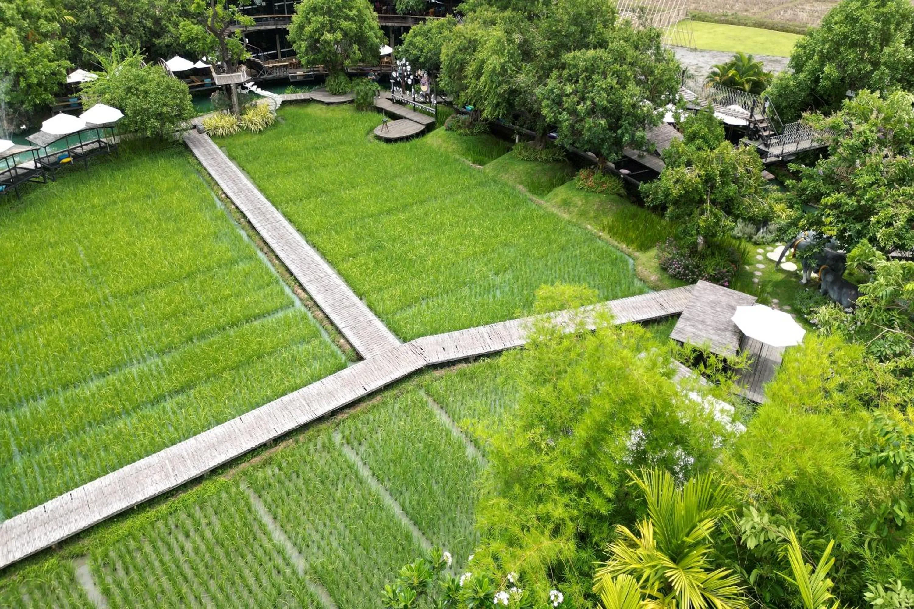 Restaurant/places to eat in Tongna Cottage Natural Resort