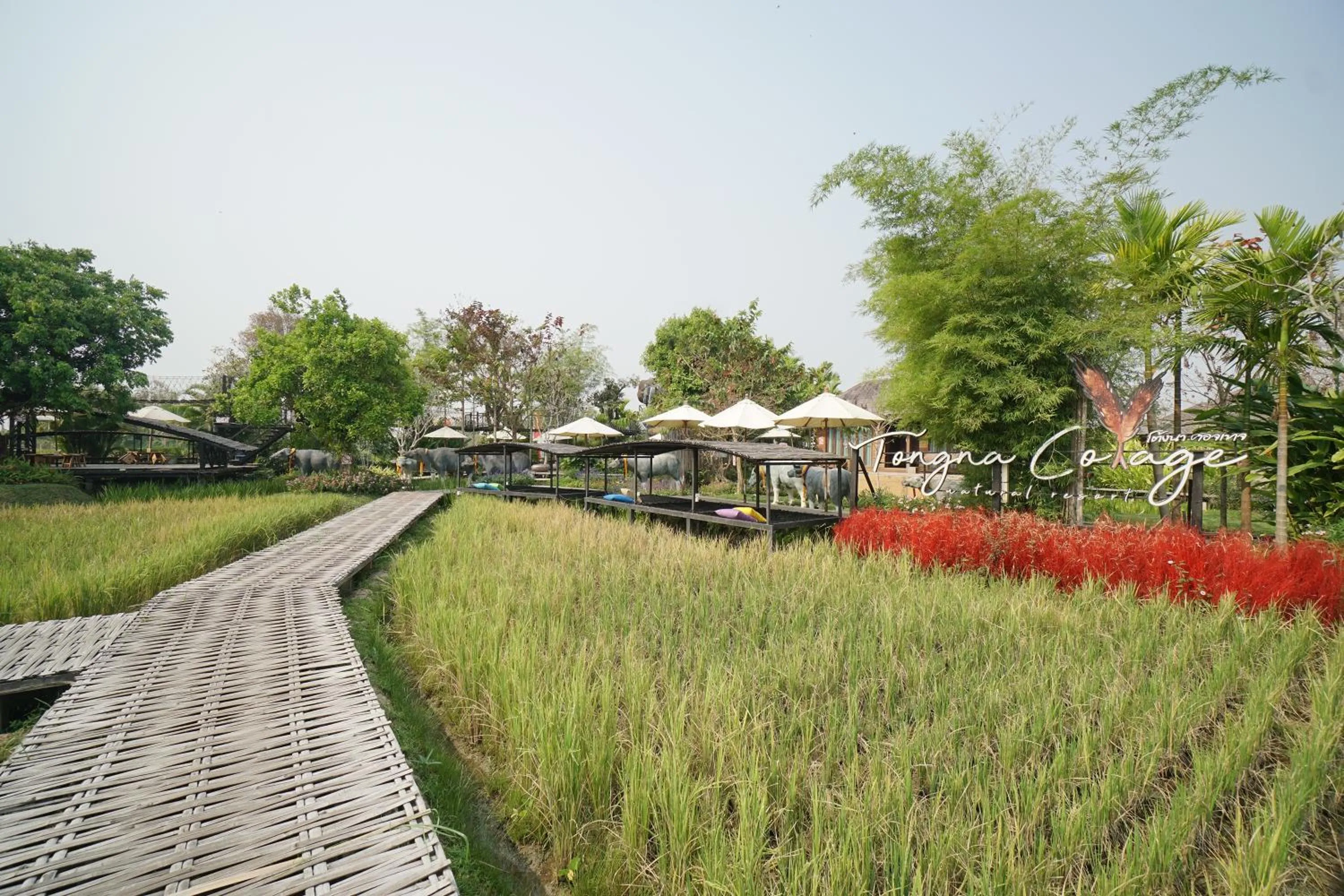 Restaurant/places to eat in Tongna Cottage Natural Resort