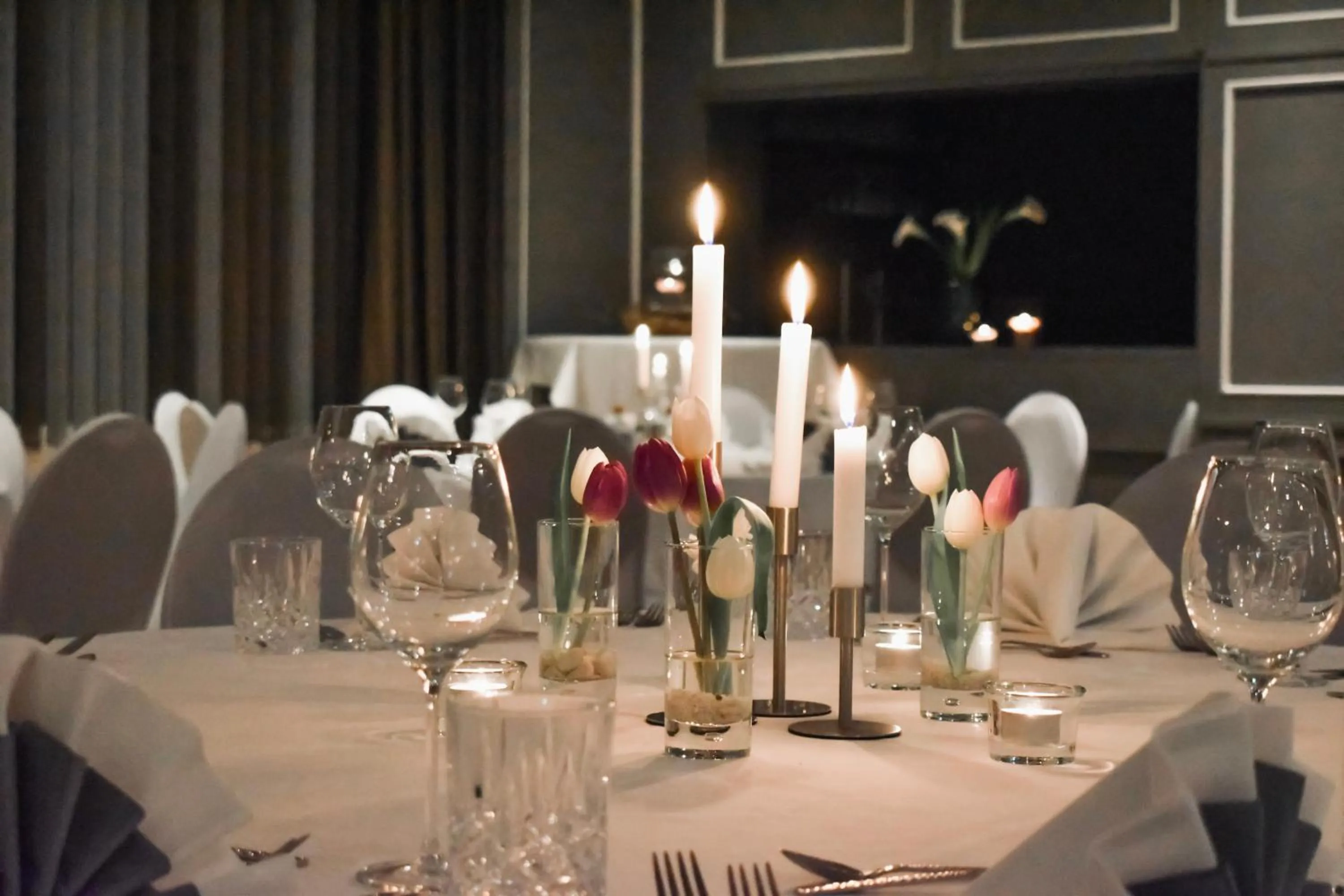 Banquet/Function facilities in Bergmark Hotel