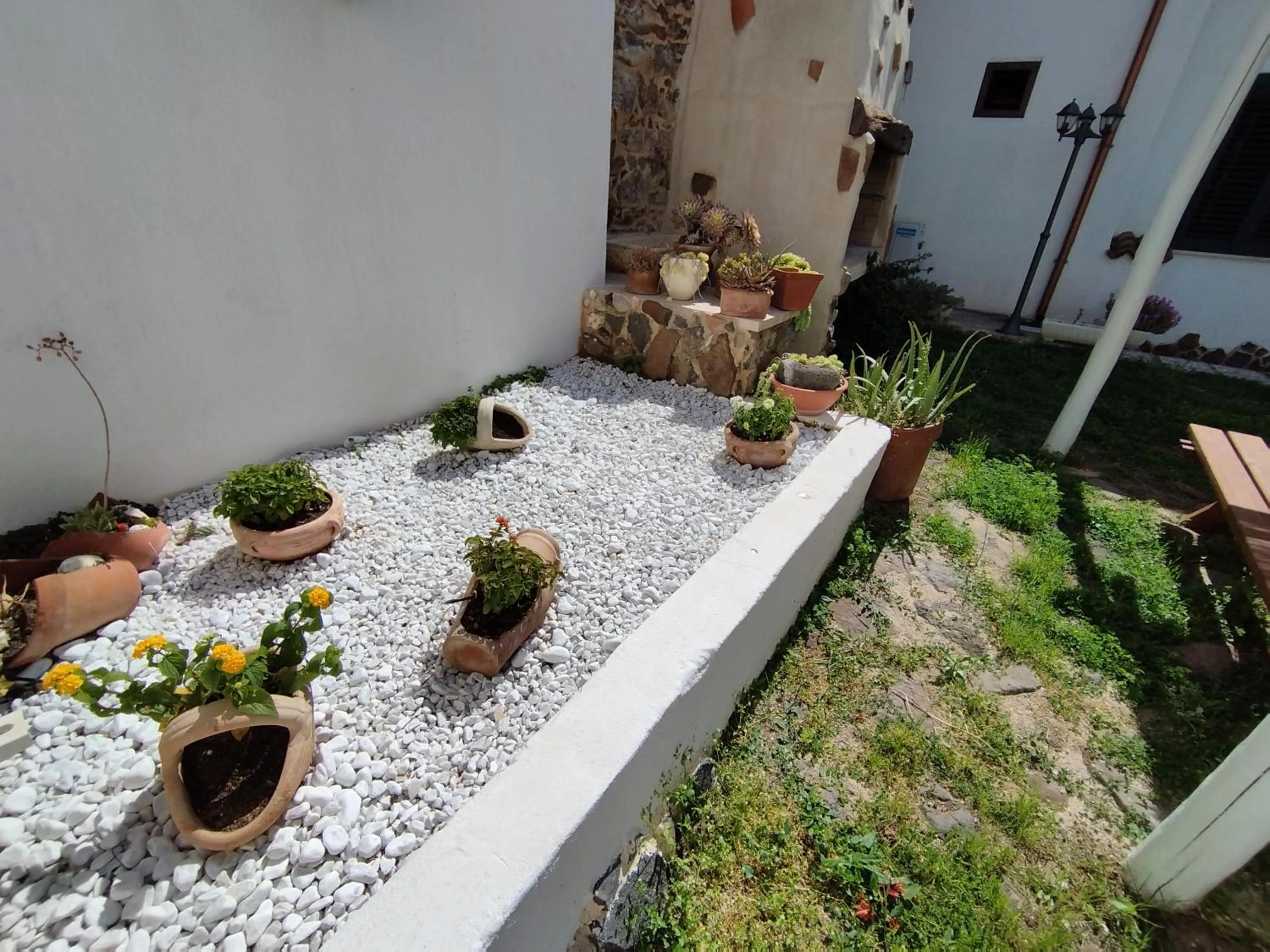 Garden view in Bed And Breakfast Villa Bianca