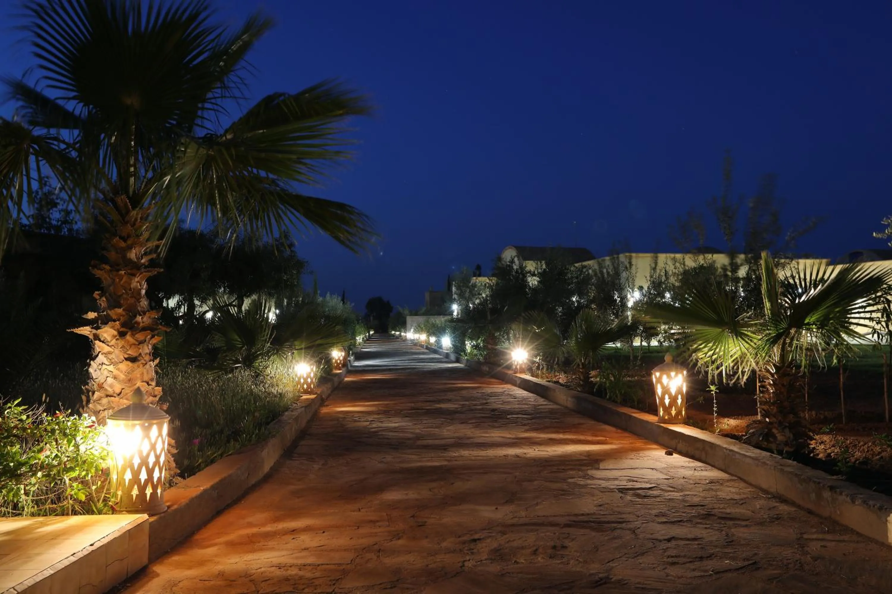 Night in Atlas Widan