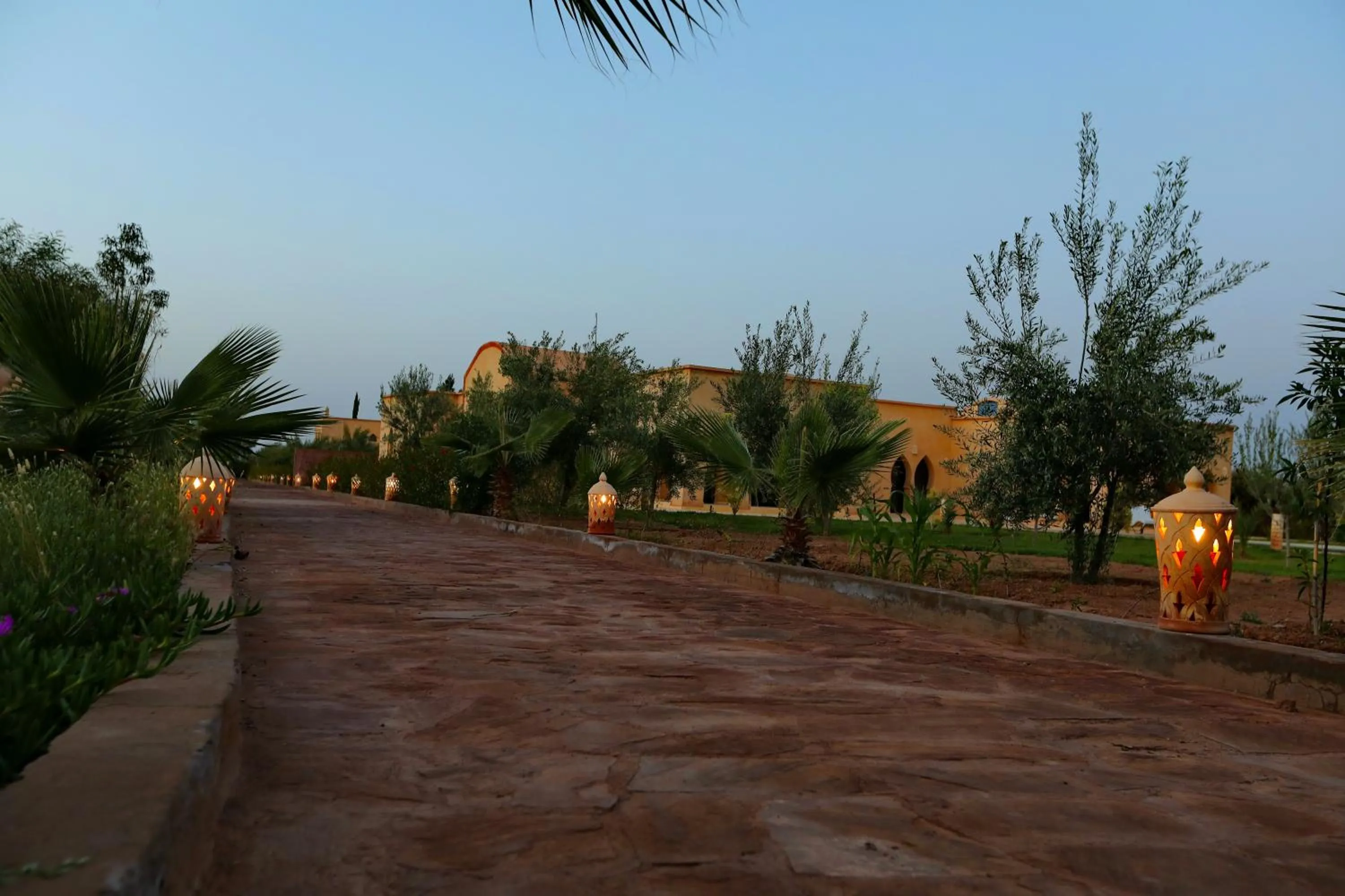 Night in Atlas Widan