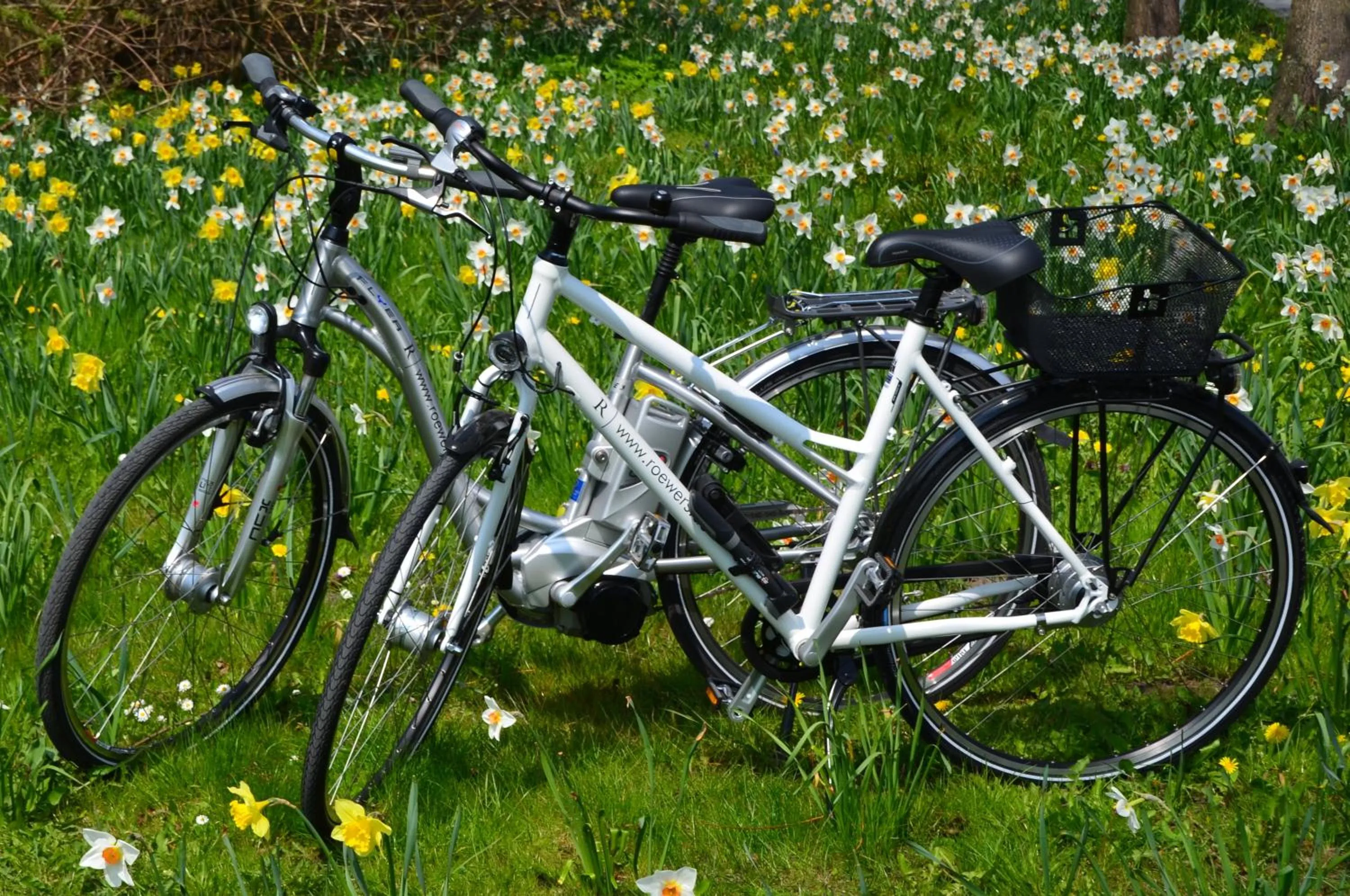 Cycling in ROEWERS Privathotel & Spa