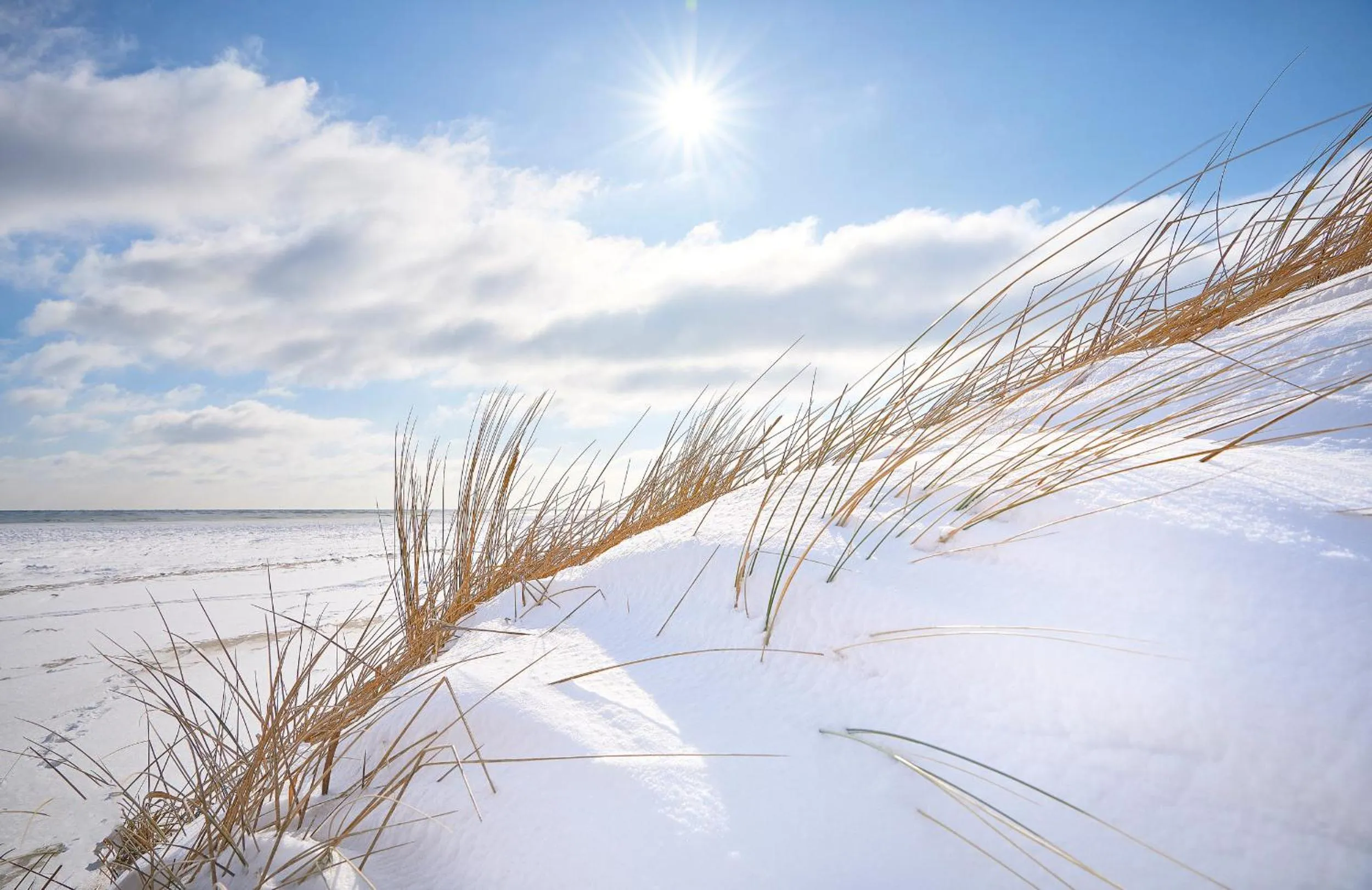 Beach in ROEWERS Privathotel & Spa
