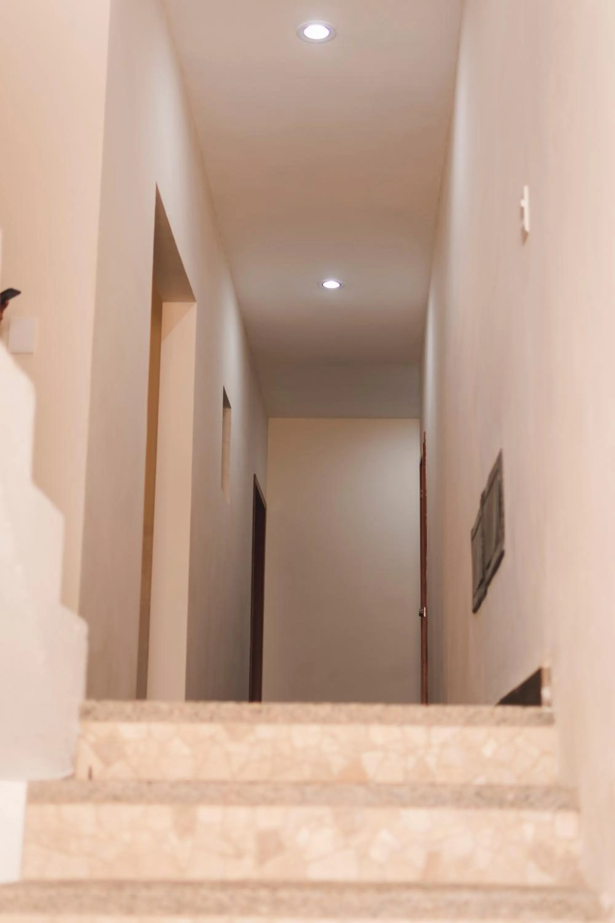 Area and facilities in La Lola Hotel & Suites