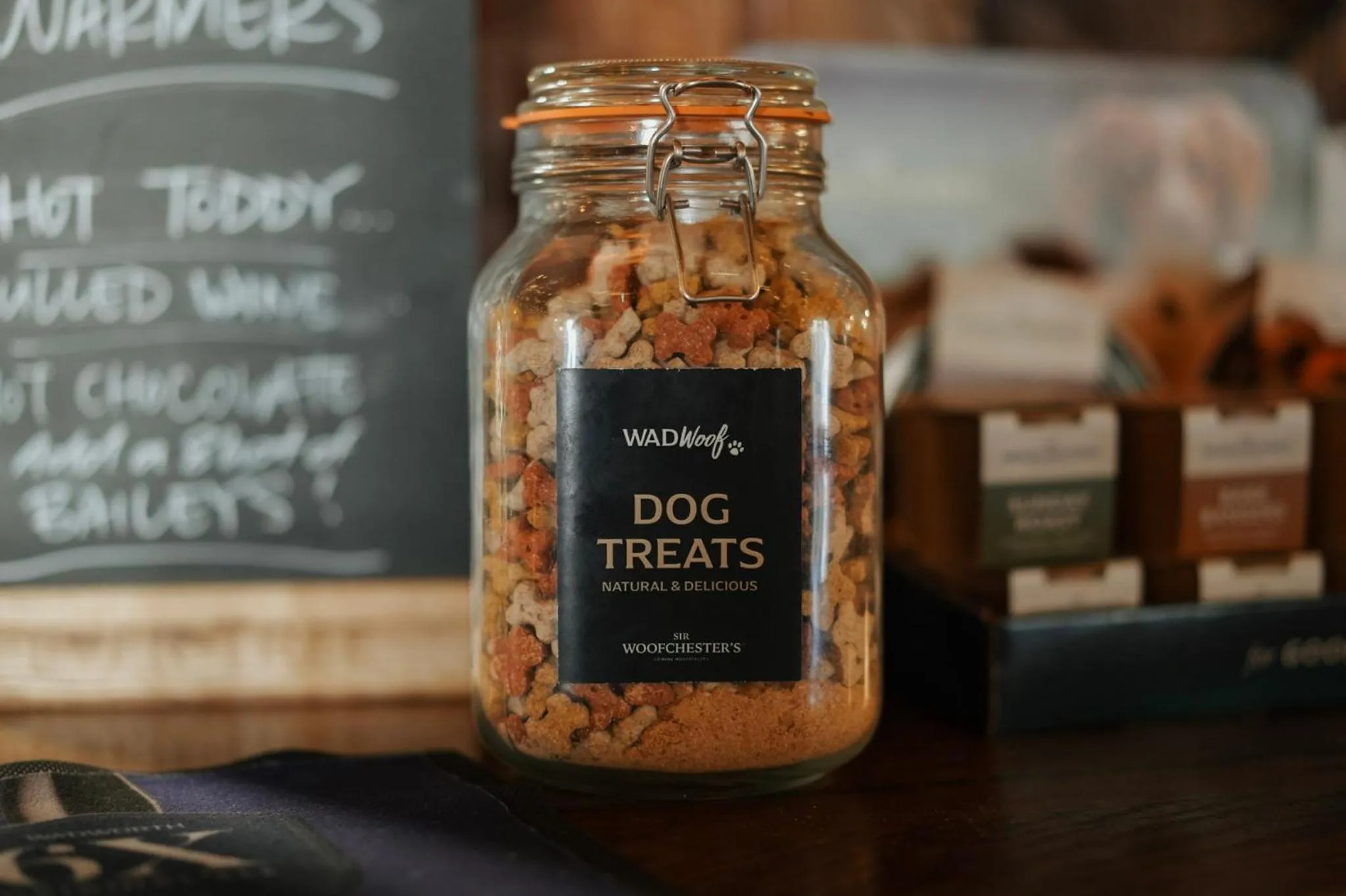 pet friendly in The Falkland Arms