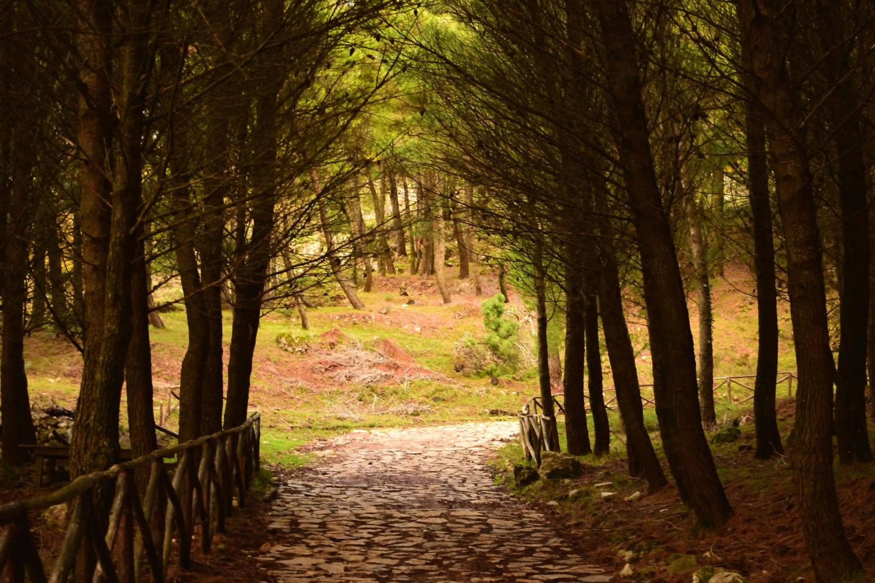 Nearby landmark in B&B Il Conte