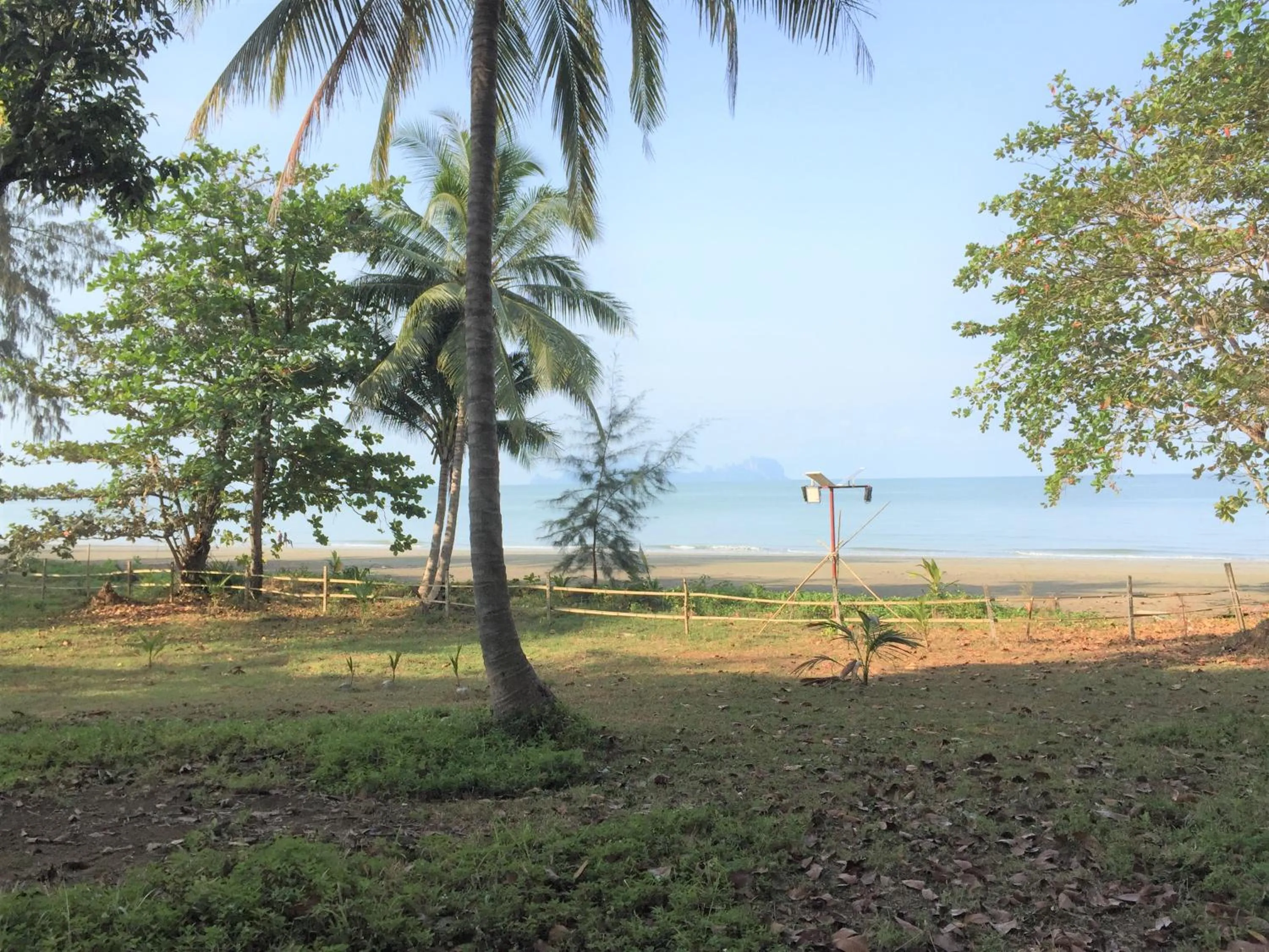 Natural landscape in Cameron Island Resort