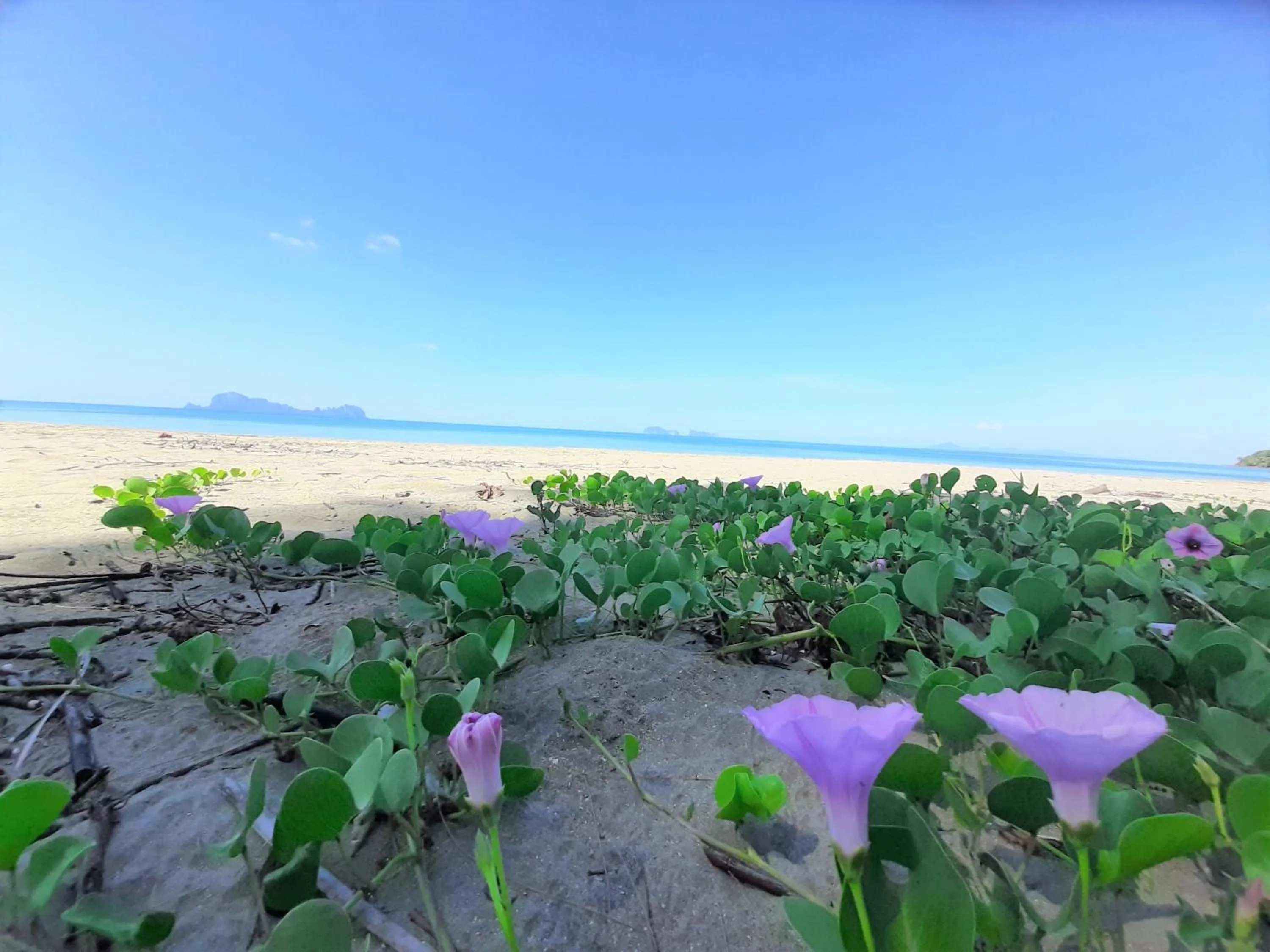 Natural landscape in Cameron Island Resort