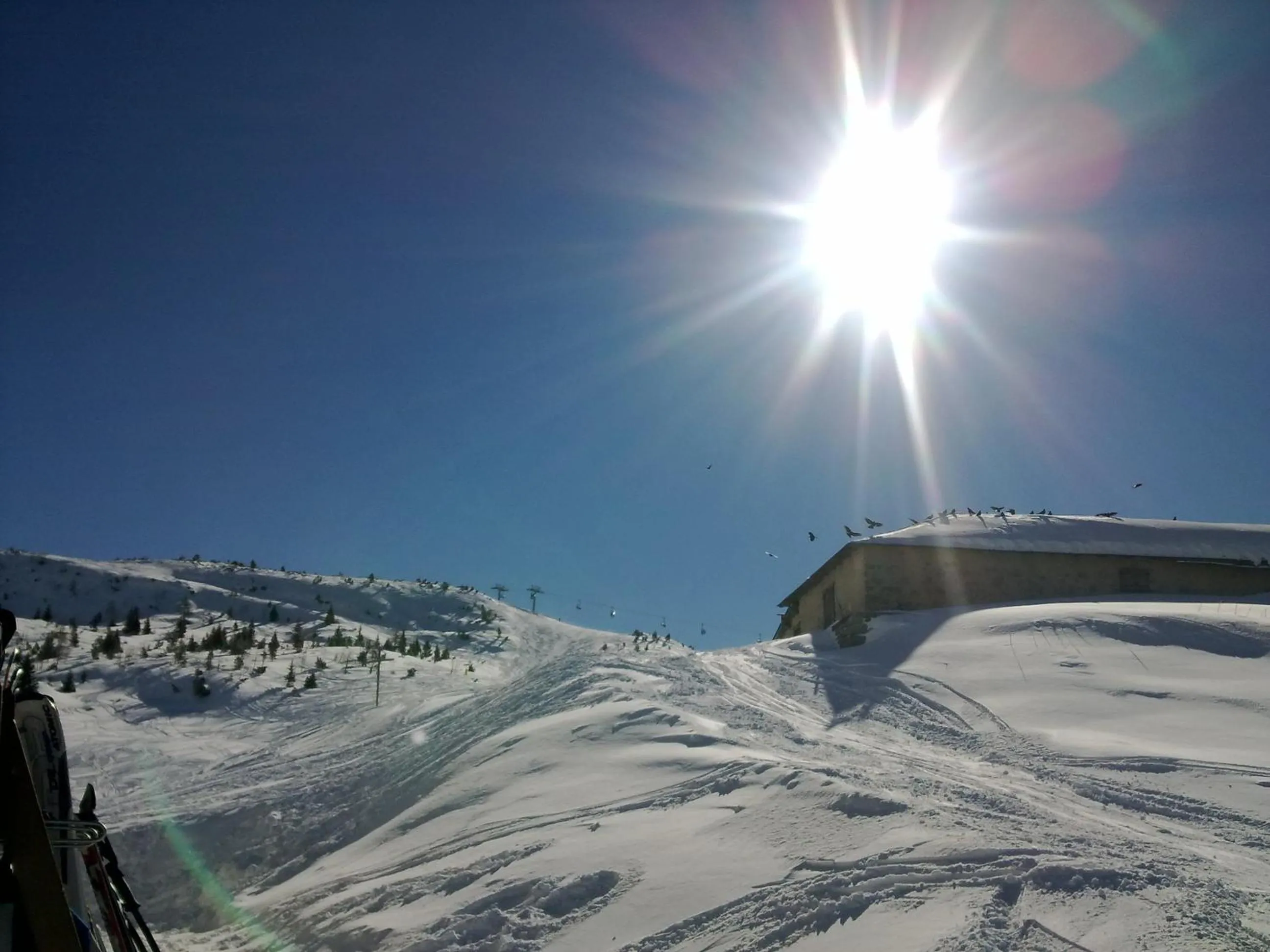 Natural landscape in Hotel Regent's