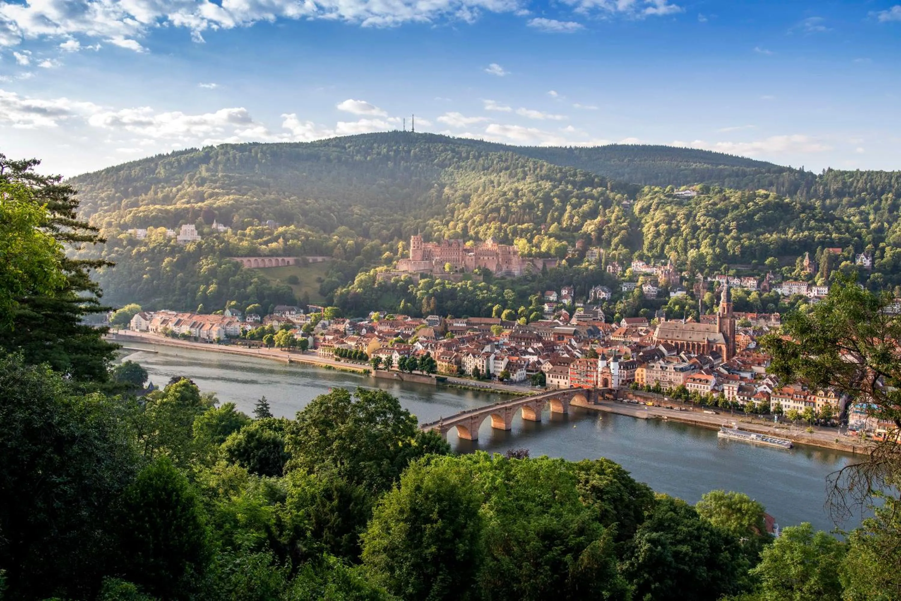 Crowne Plaza Heidelberg City Centre