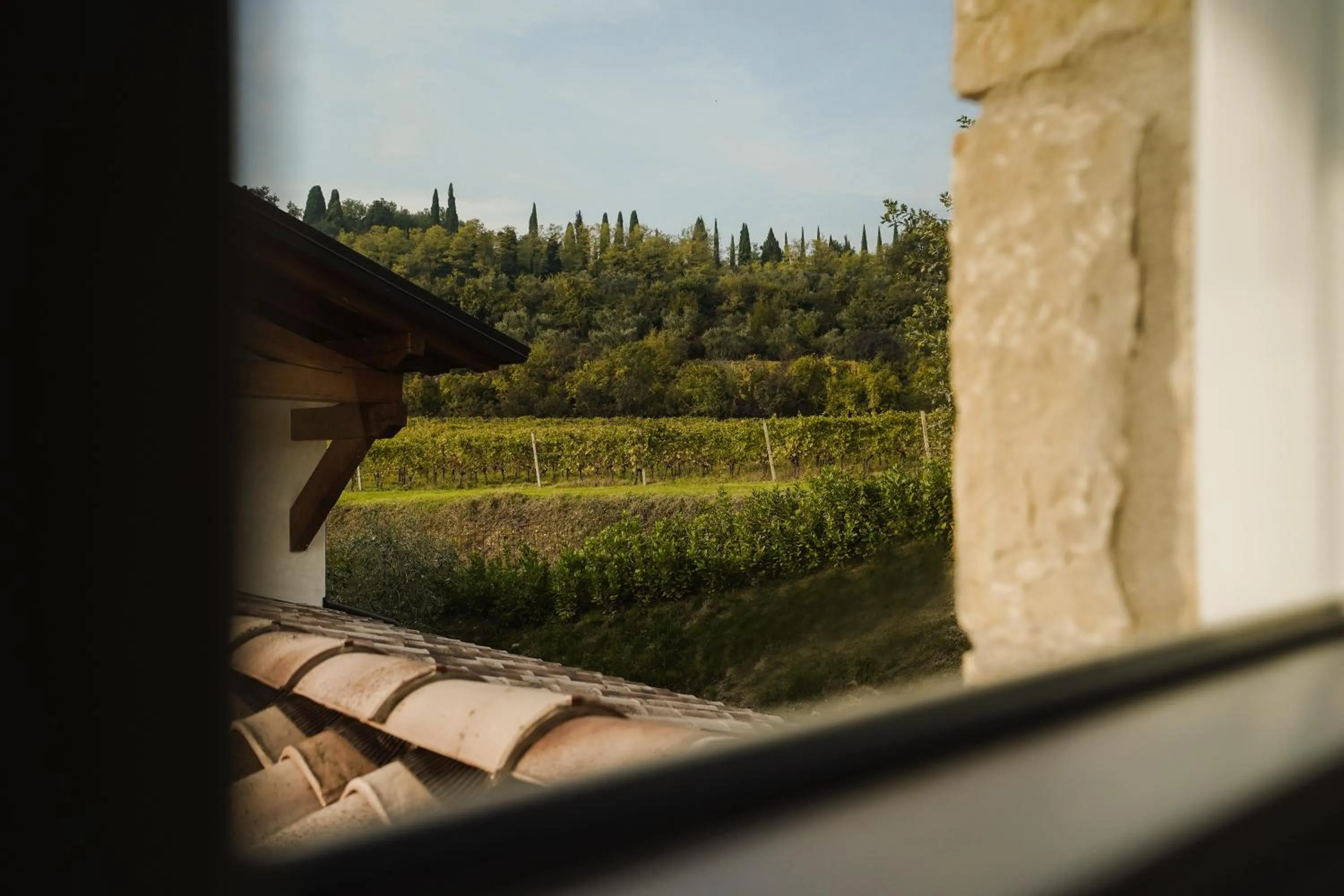 Garden view in Casa Olivi Apartments