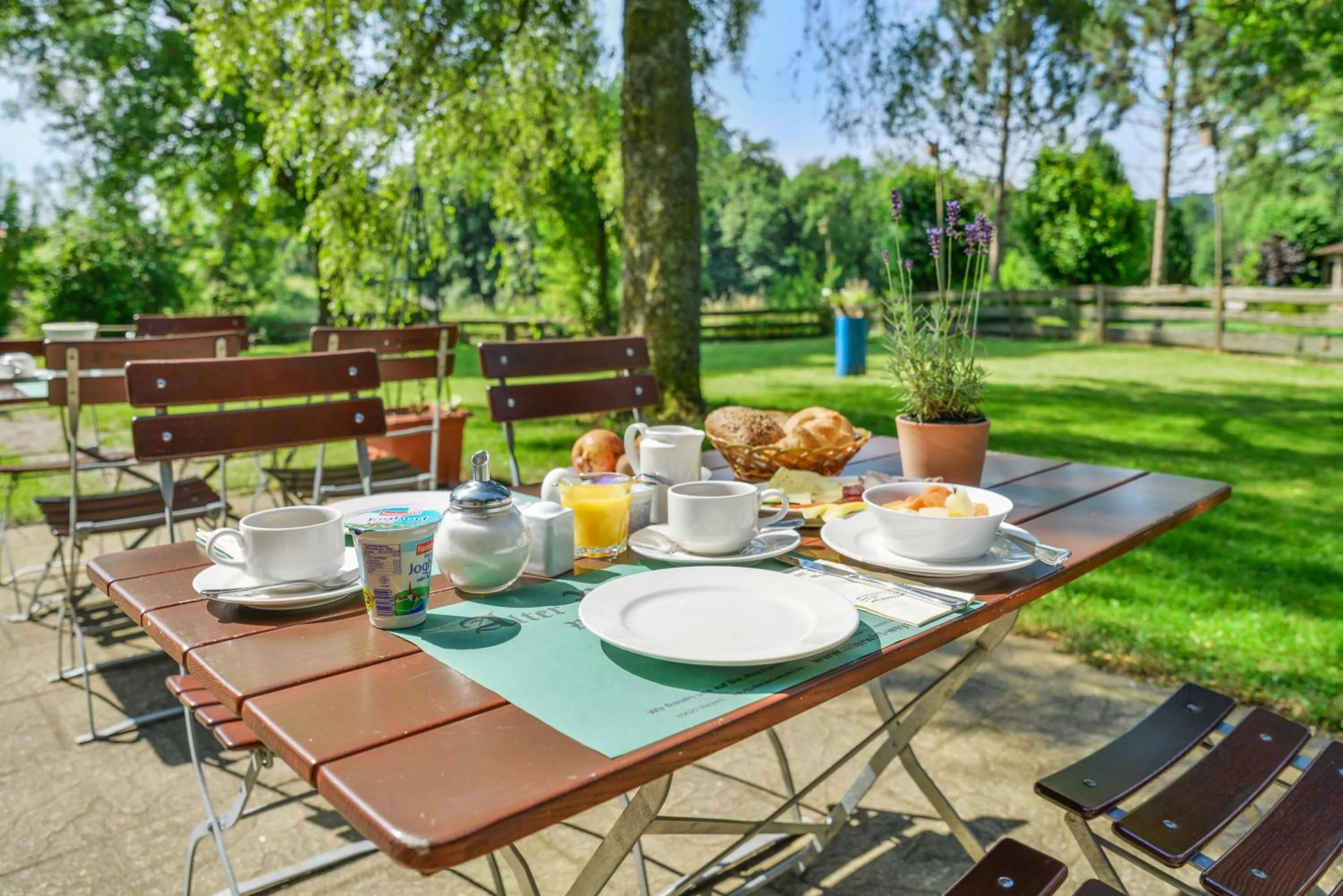 Garden in Hotel Alter Wirt