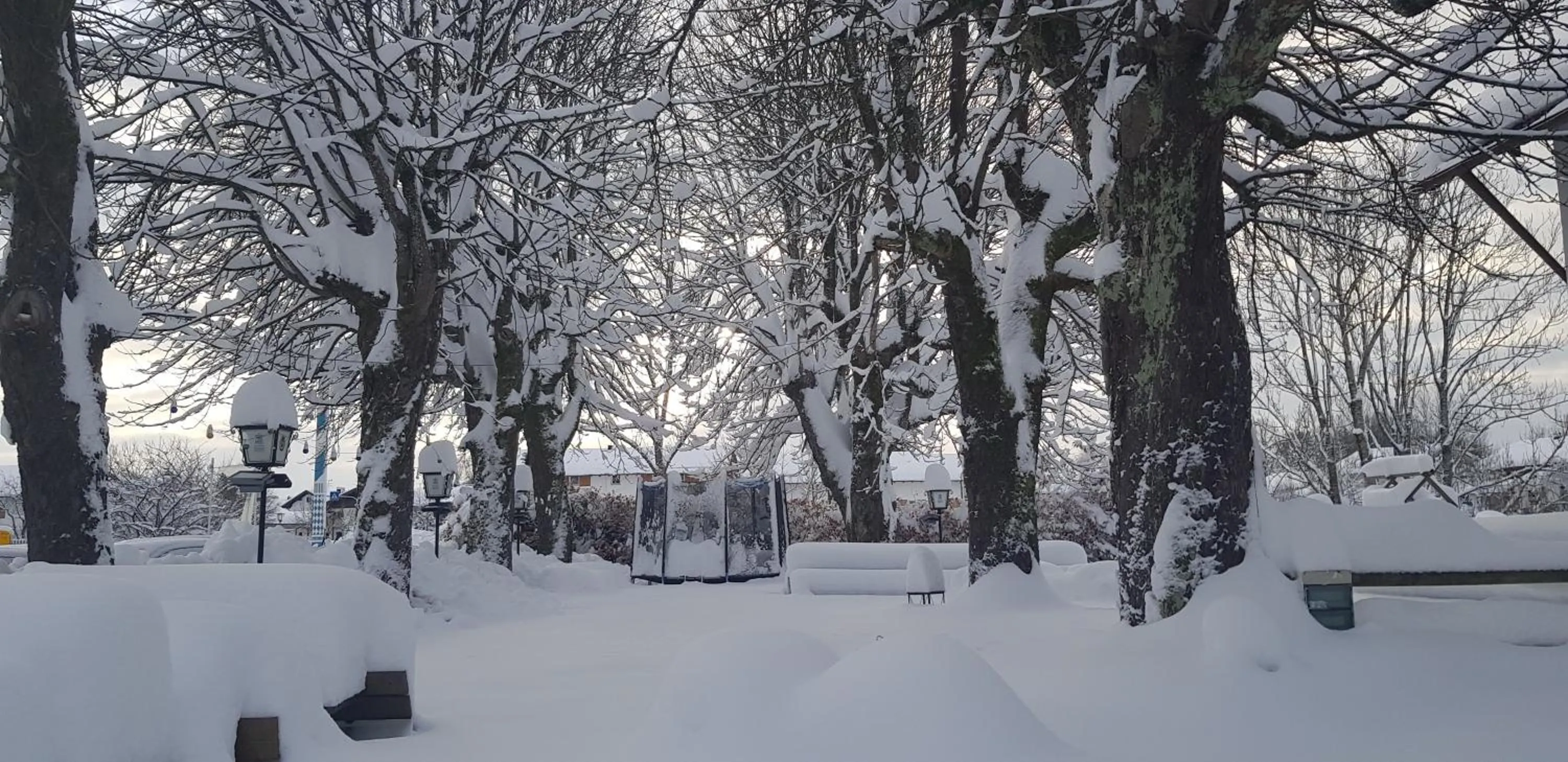 Property building in Hotel Alter Wirt