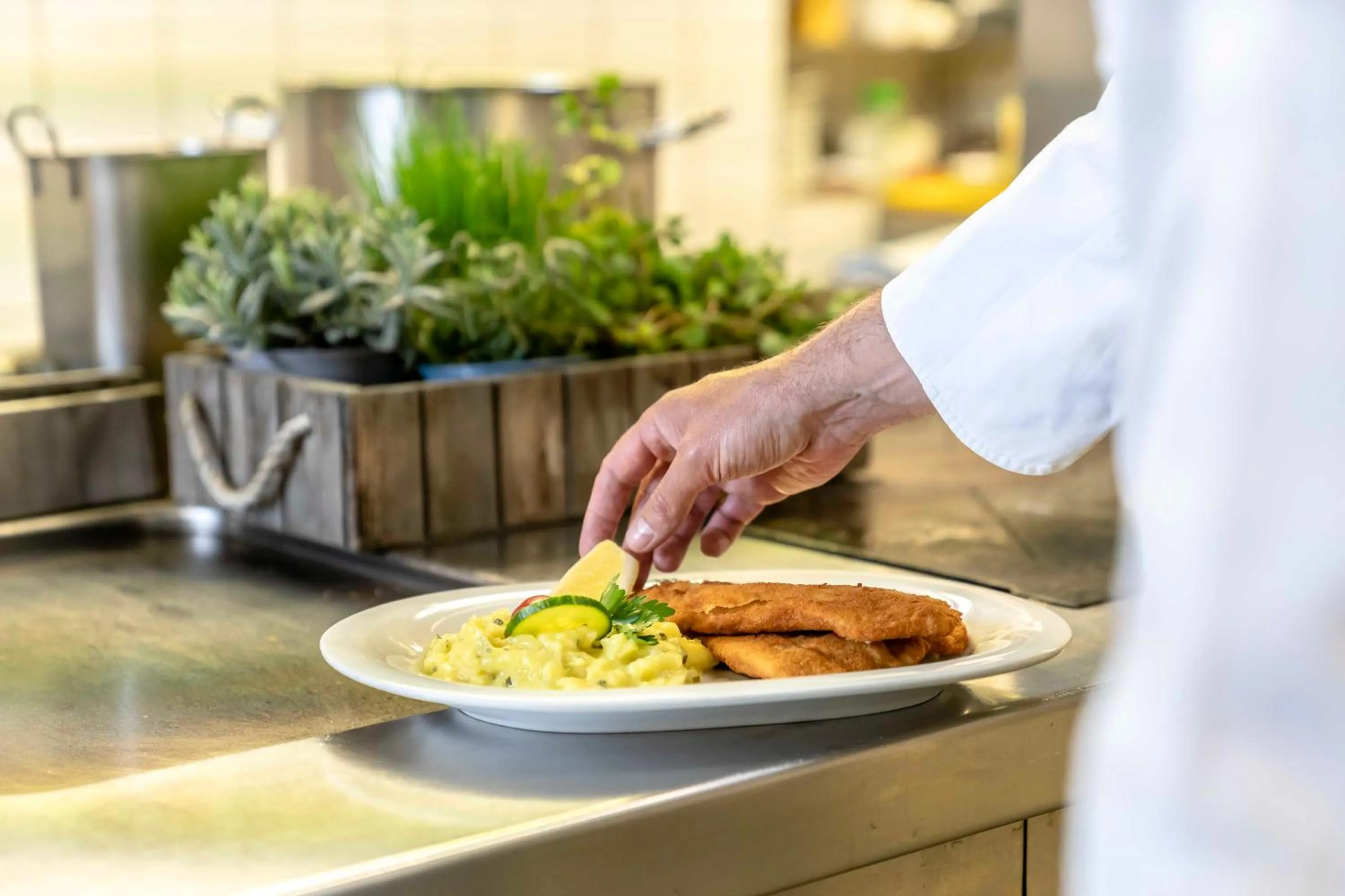 Food and drinks in Hotel Alter Wirt