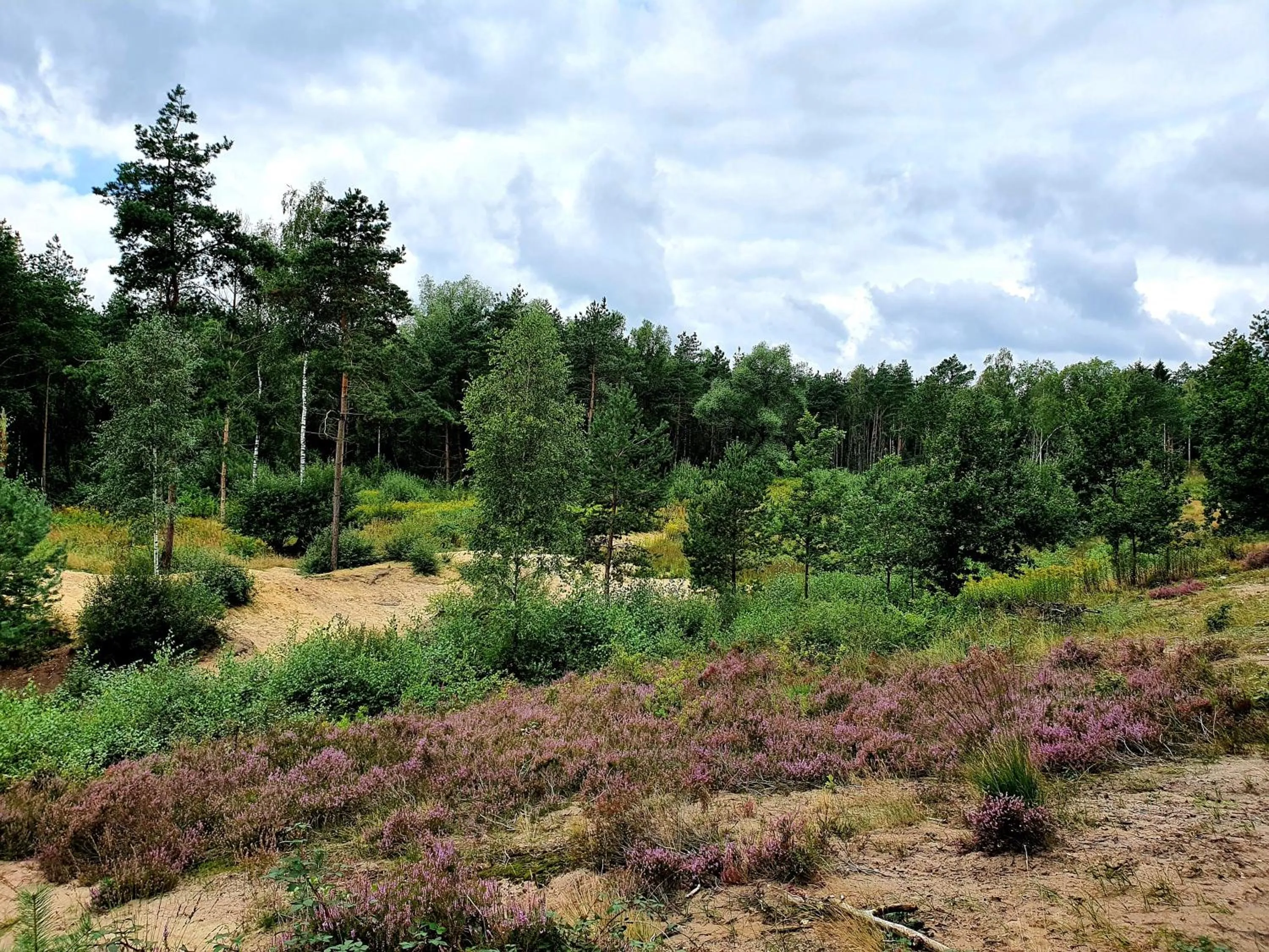 Hiking in Alt Enginger Mühle