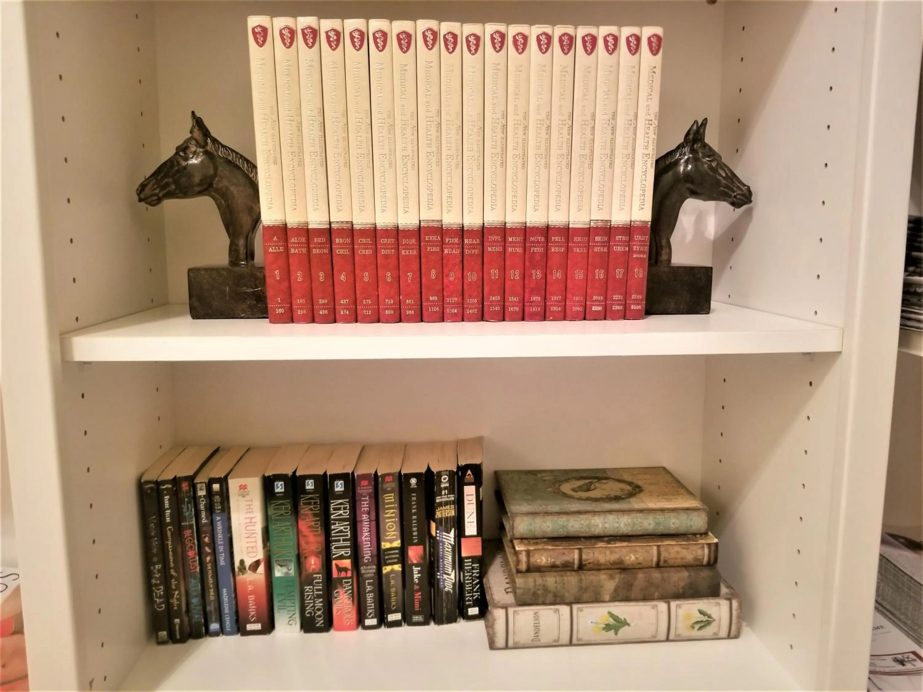 Library in Peak Valley Manor, a Modern Farmhouse