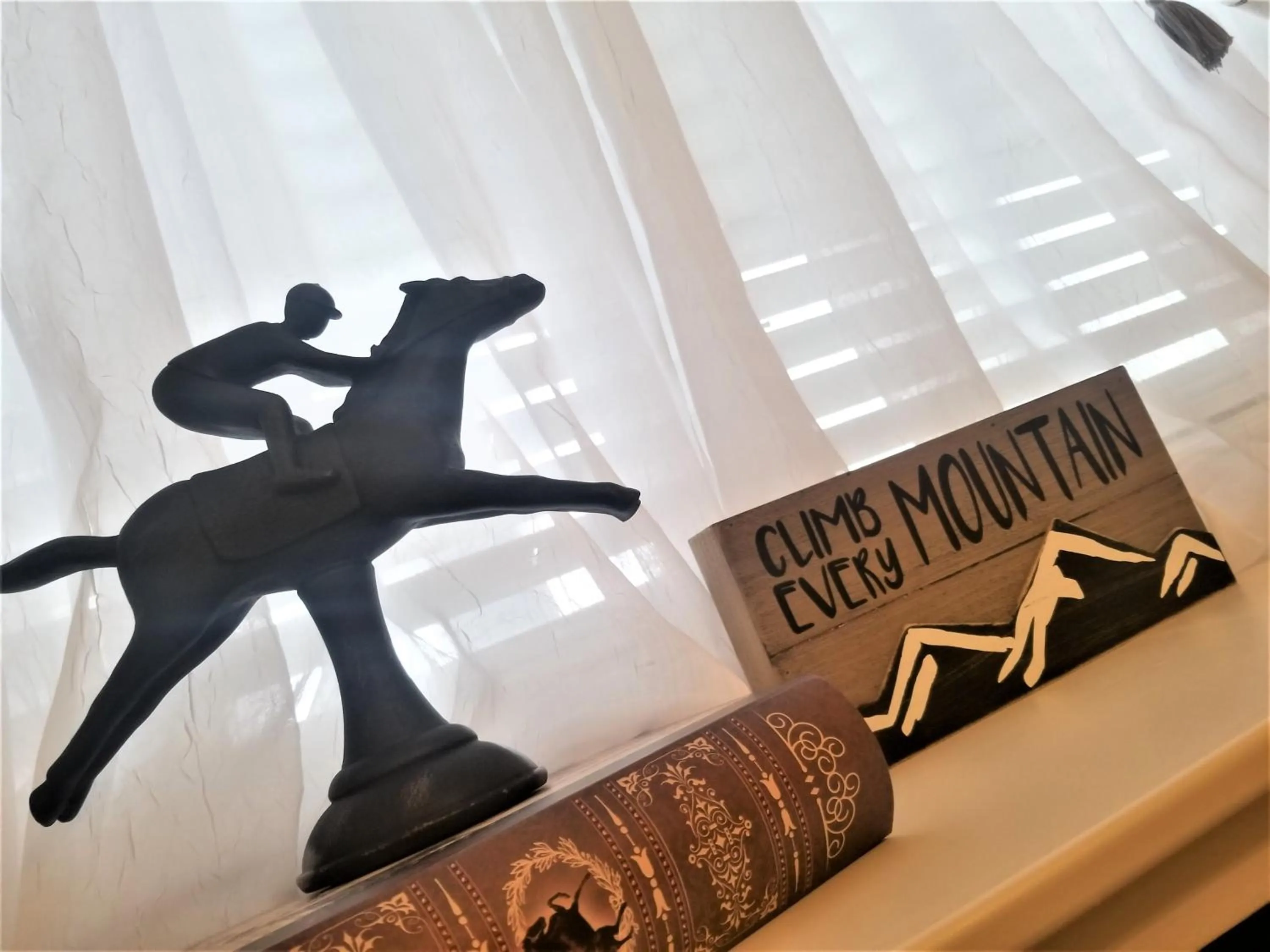 Library in Peak Valley Manor, a Modern Farmhouse