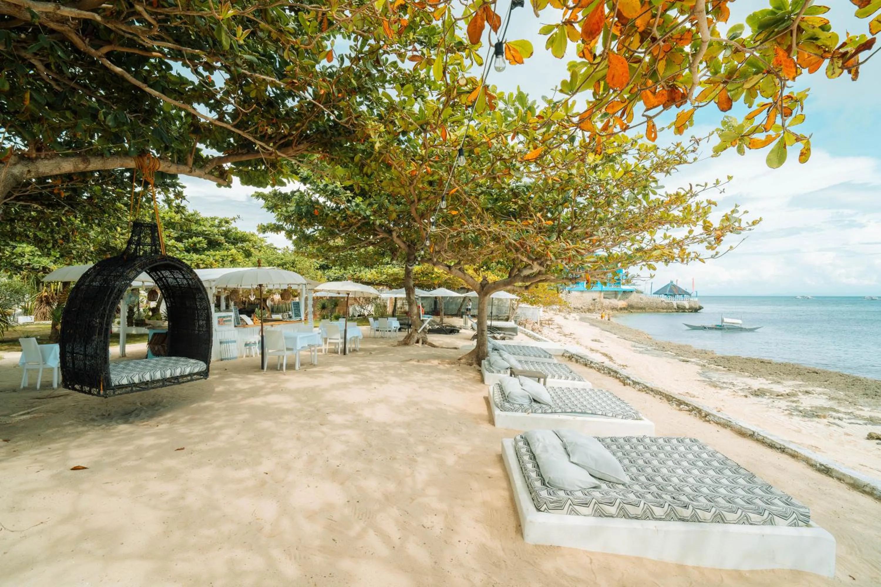 Beach in Blanco Beach Resort Malapascua