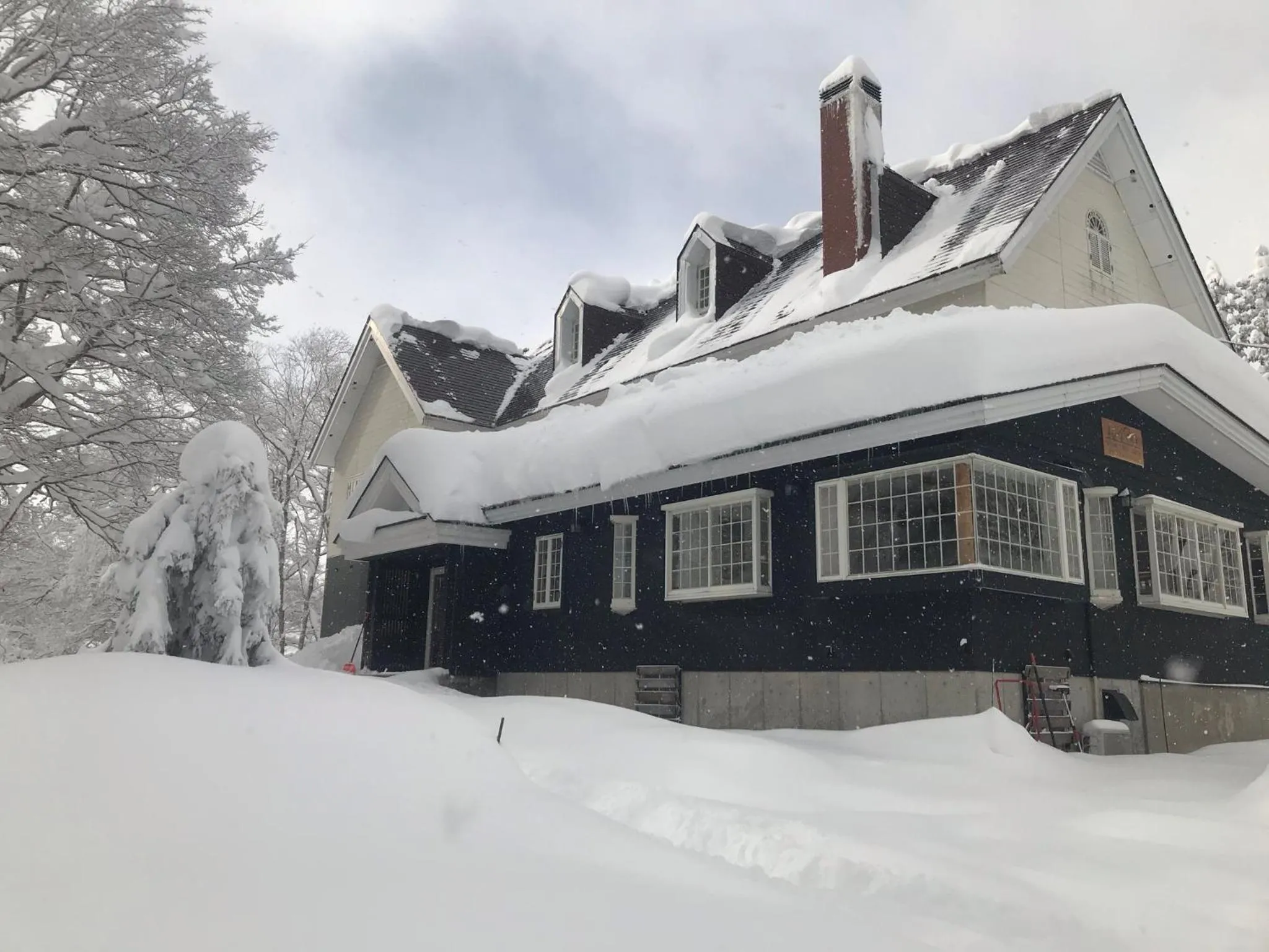 Property building in Myoko Forest Lodge