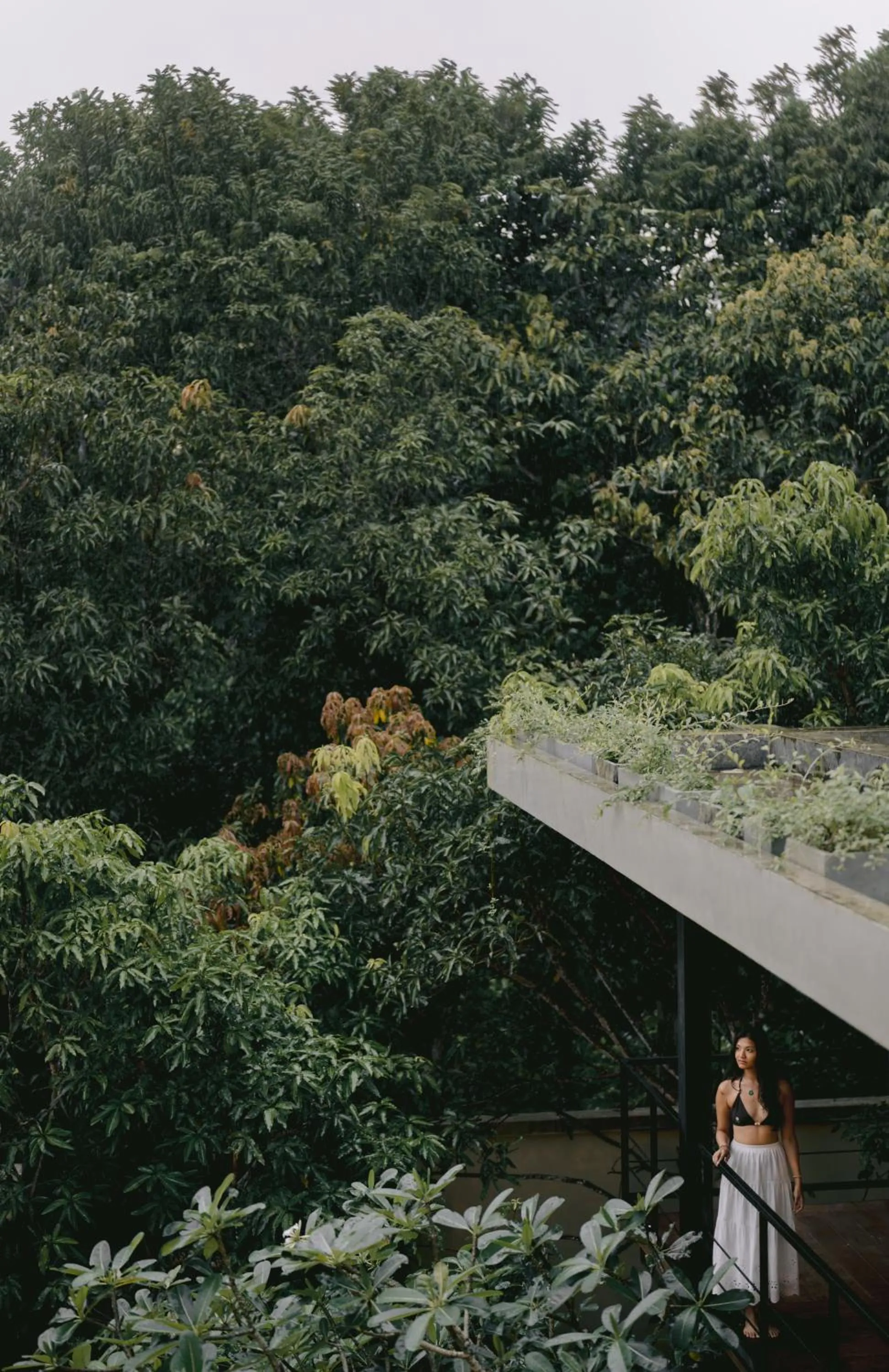Garden view in Zen Koggala by Sugar Coliving