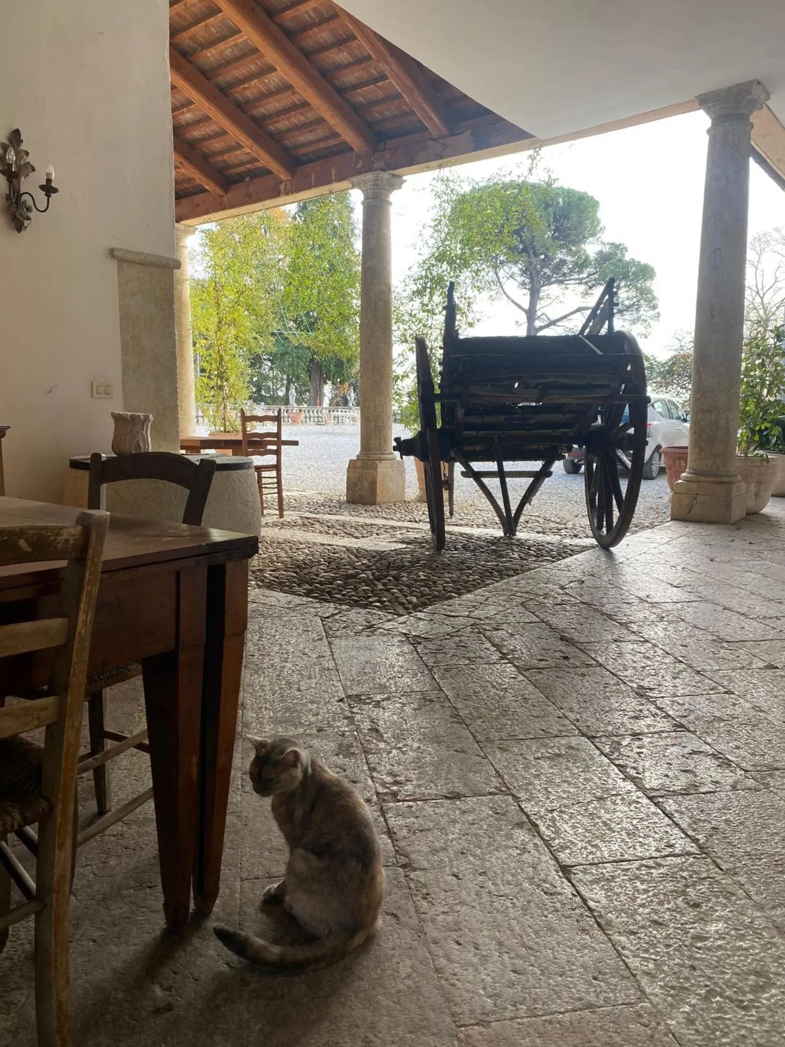 Pets in Villa Stecchini