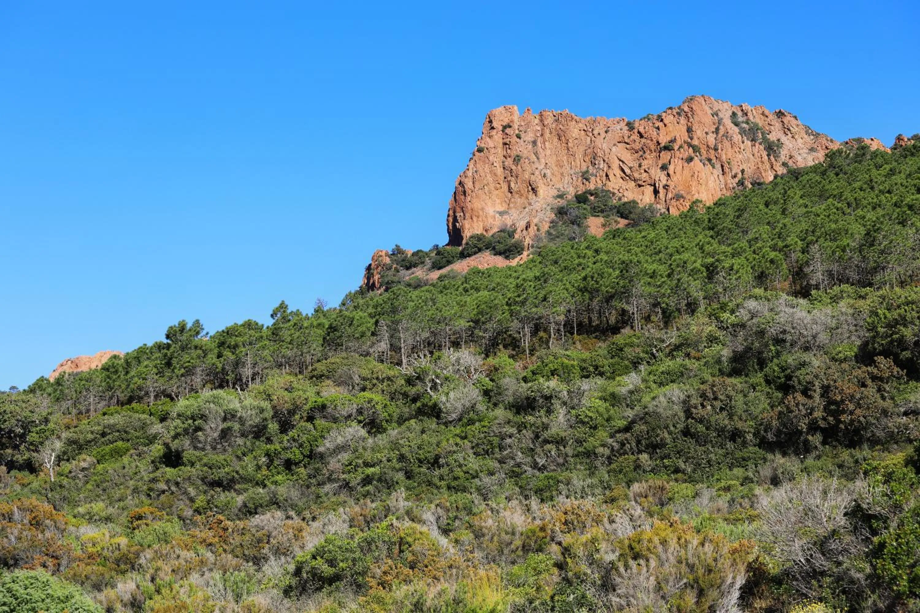 Natural landscape in SOWELL HOTELS La Plage