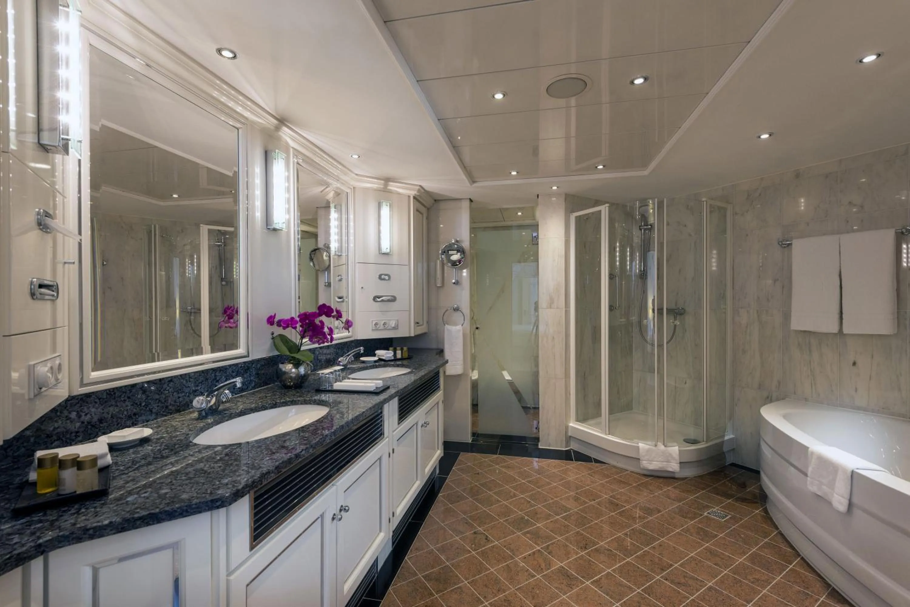 Shower in Maritim Hotel Frankfurt