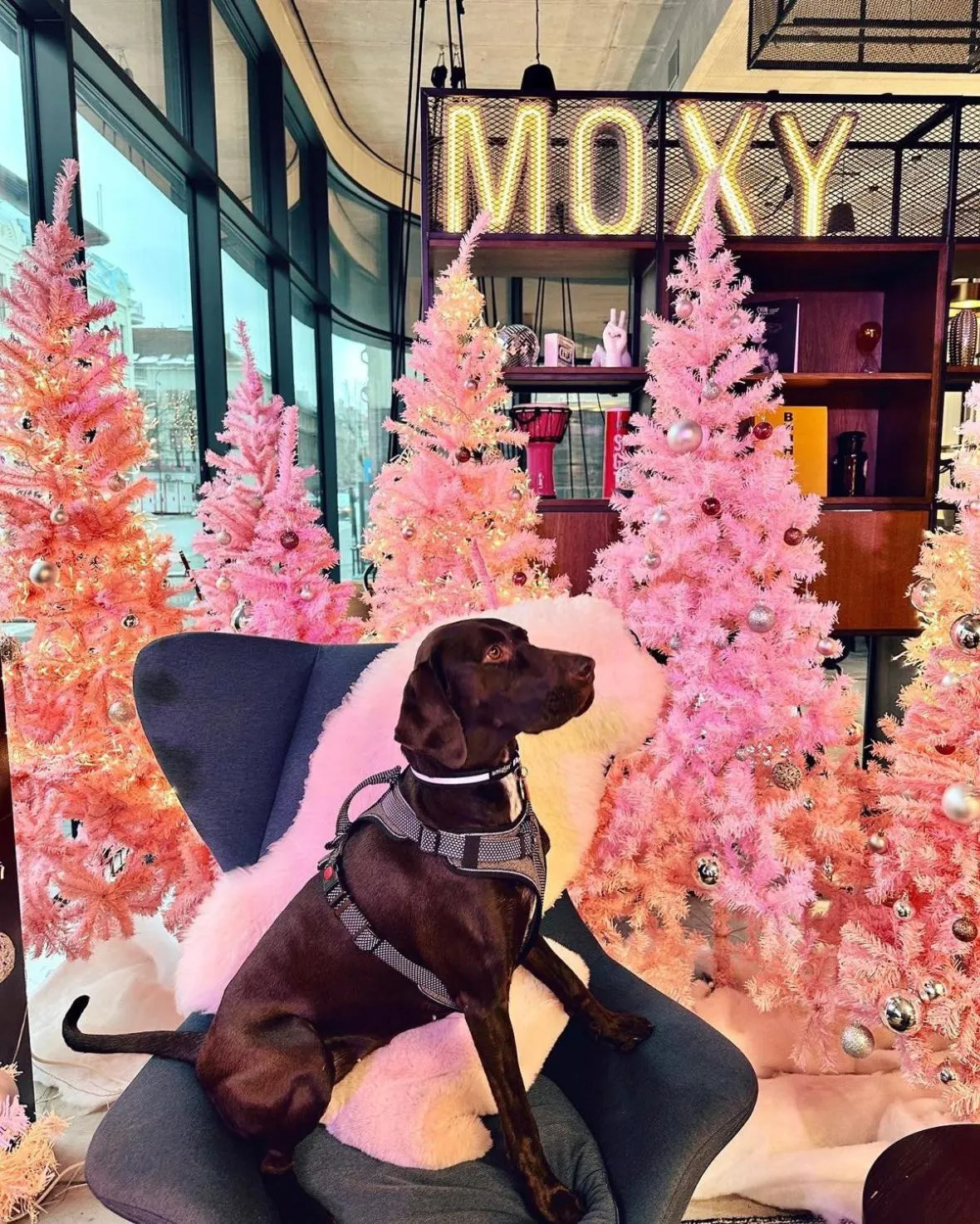 Lobby or reception in Moxy Kaunas Center