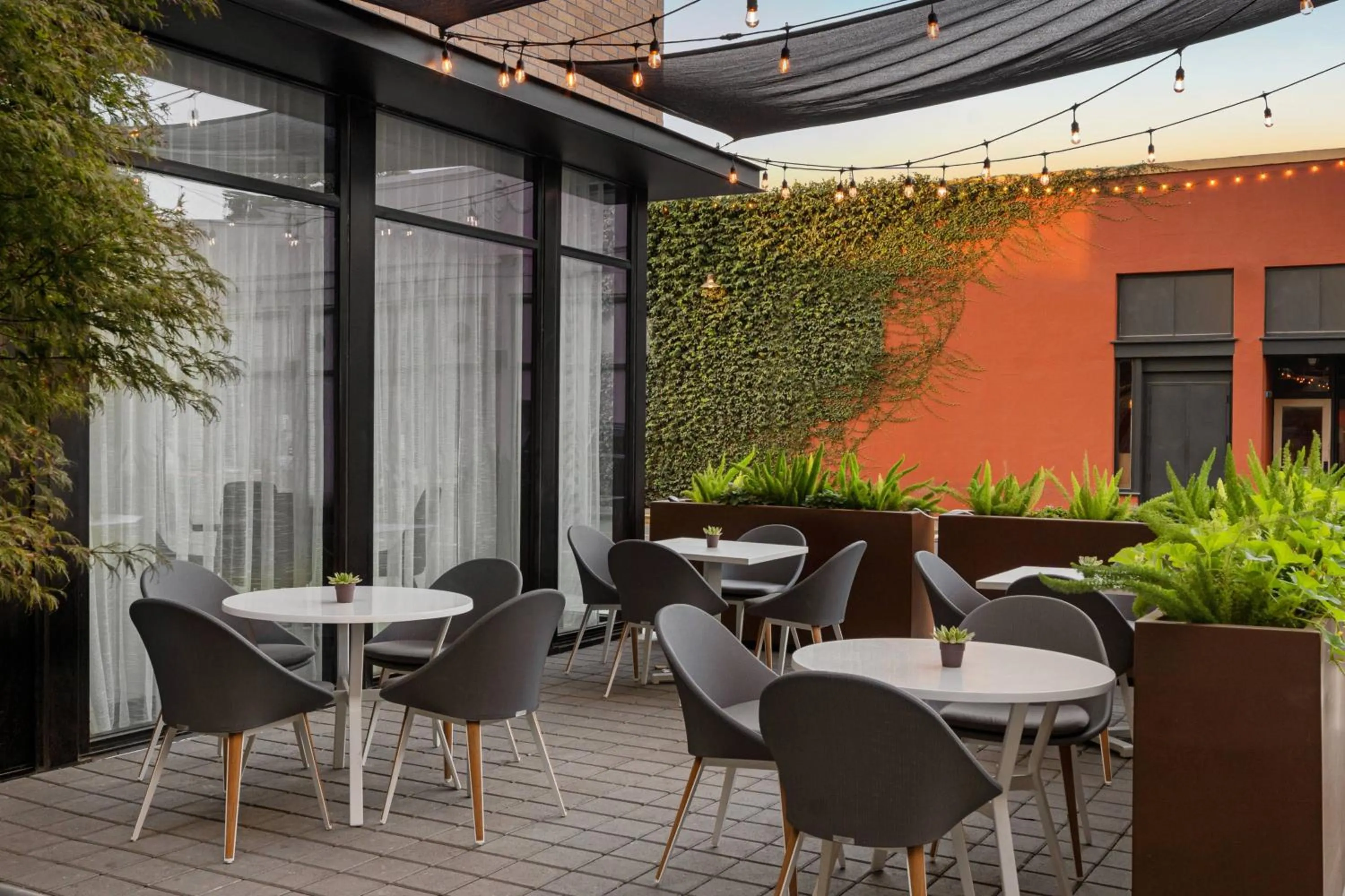 Lounge or bar in AC Hotel by Marriott Santa Rosa Sonoma Wine Country