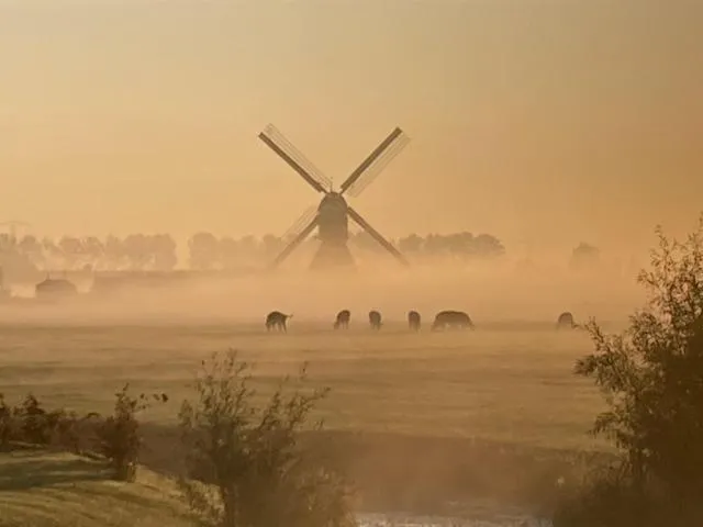 Vertoeven bij Verhoeven