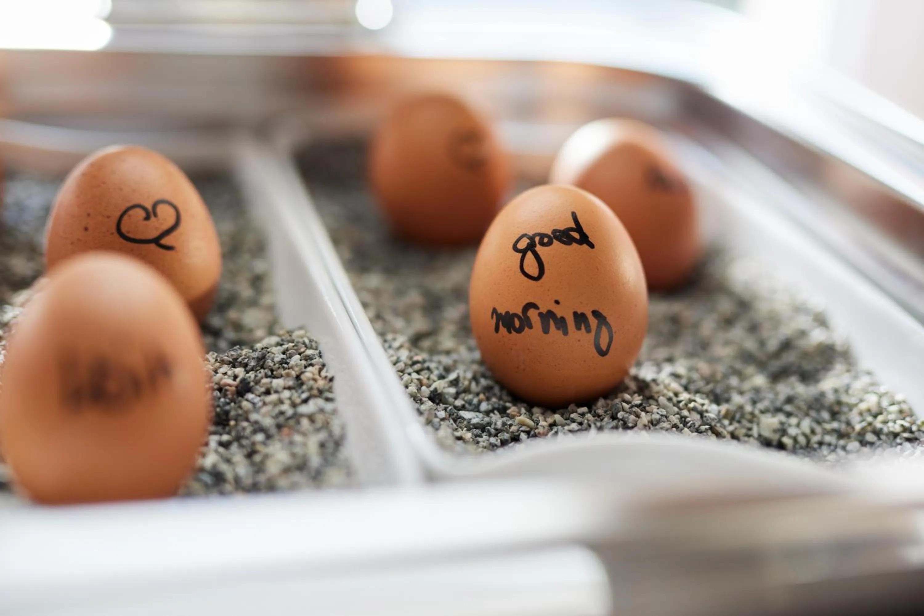 Breakfast in Hotel Central Hamburg