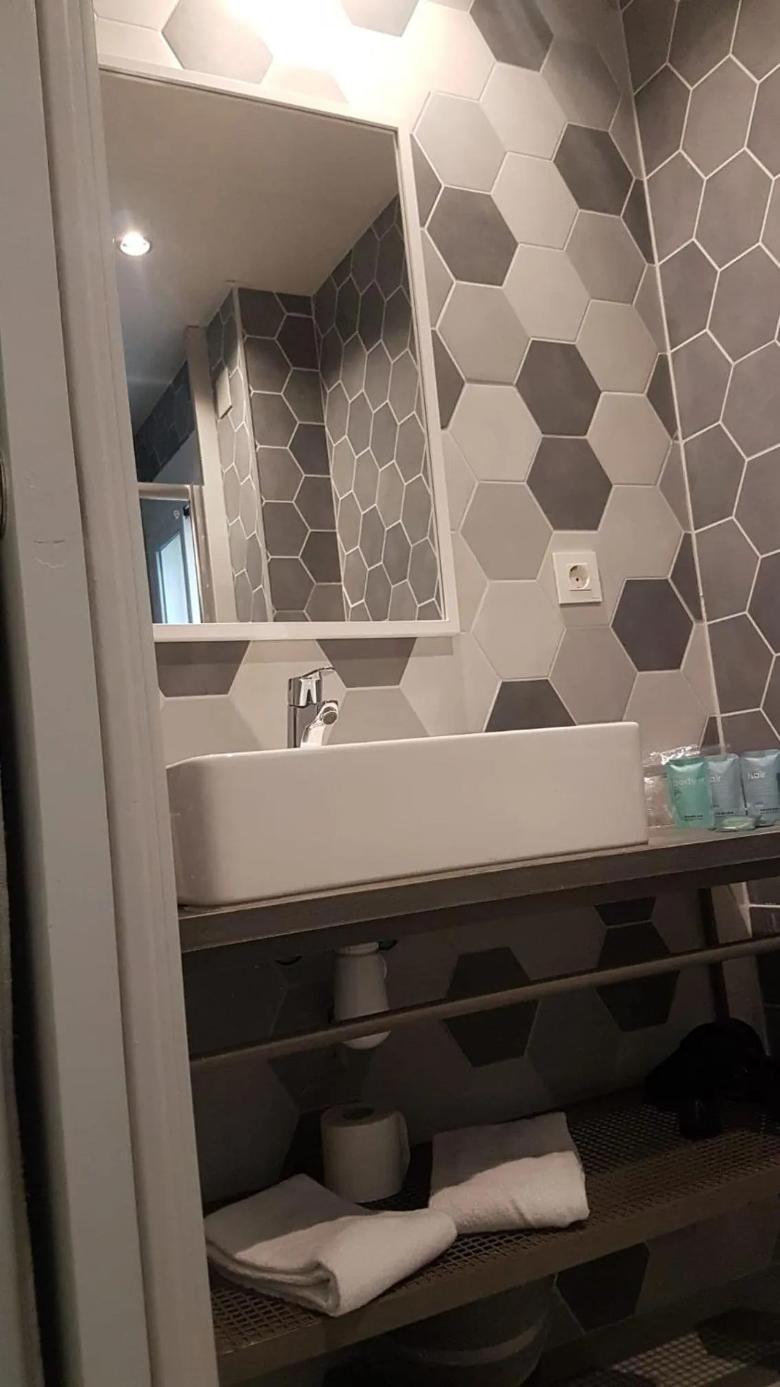 Toilet in Reina Victoria Prado Sastre